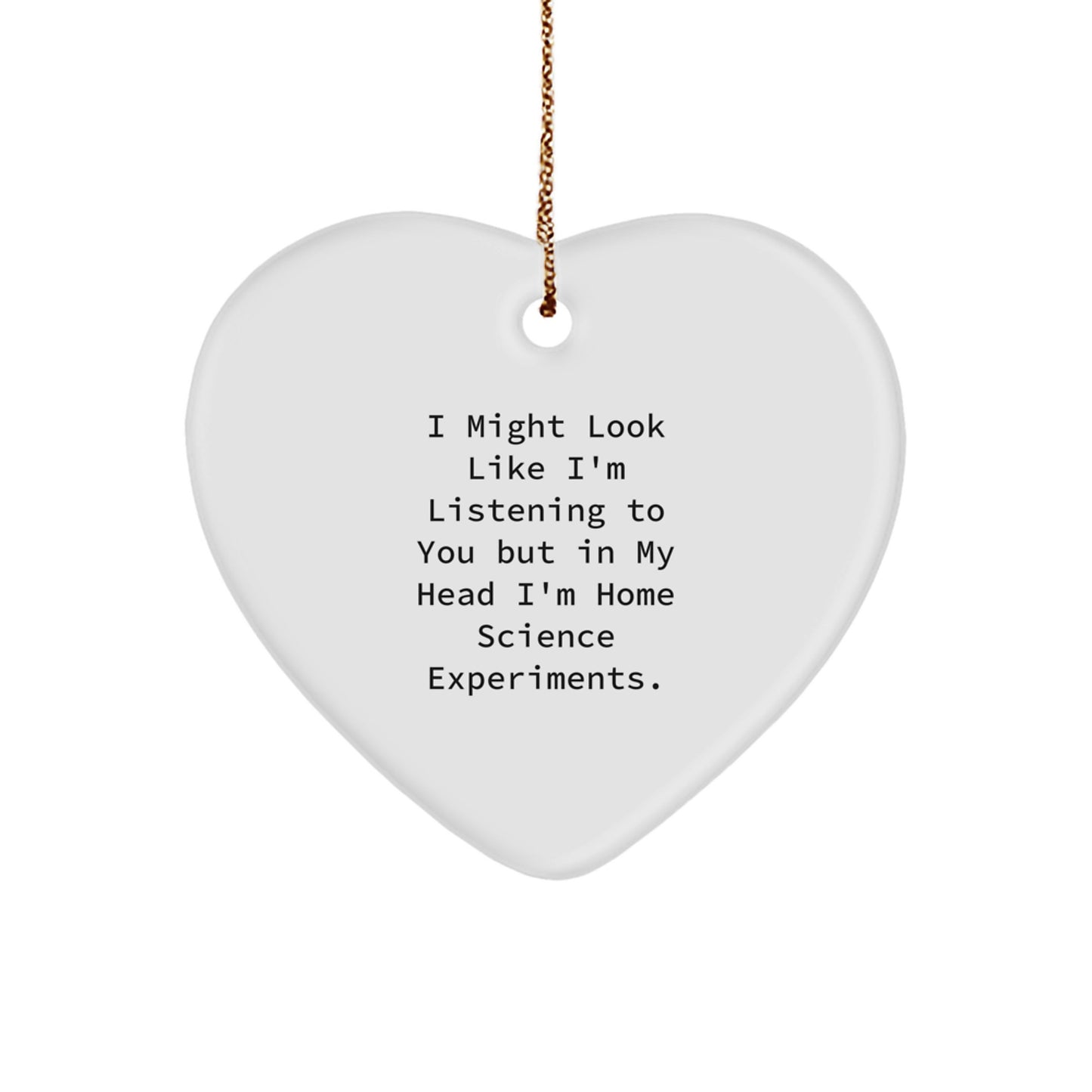 Funny Heart Ornament Home Science Experiments Gift for Him from Men, Unique Home Science Experiments Christmas Ornaments for Men, Women, Coworkers, Funny Gifts from Friends - Image 1
