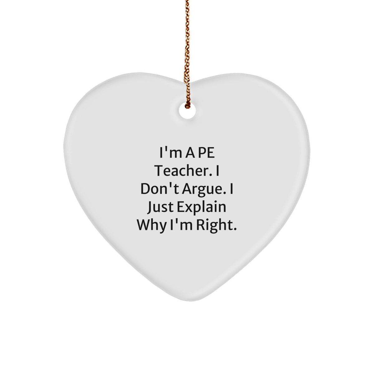 Christmas Ornament Gift for Her A Pe Teacher. I Don't Argue. Present - Image 1