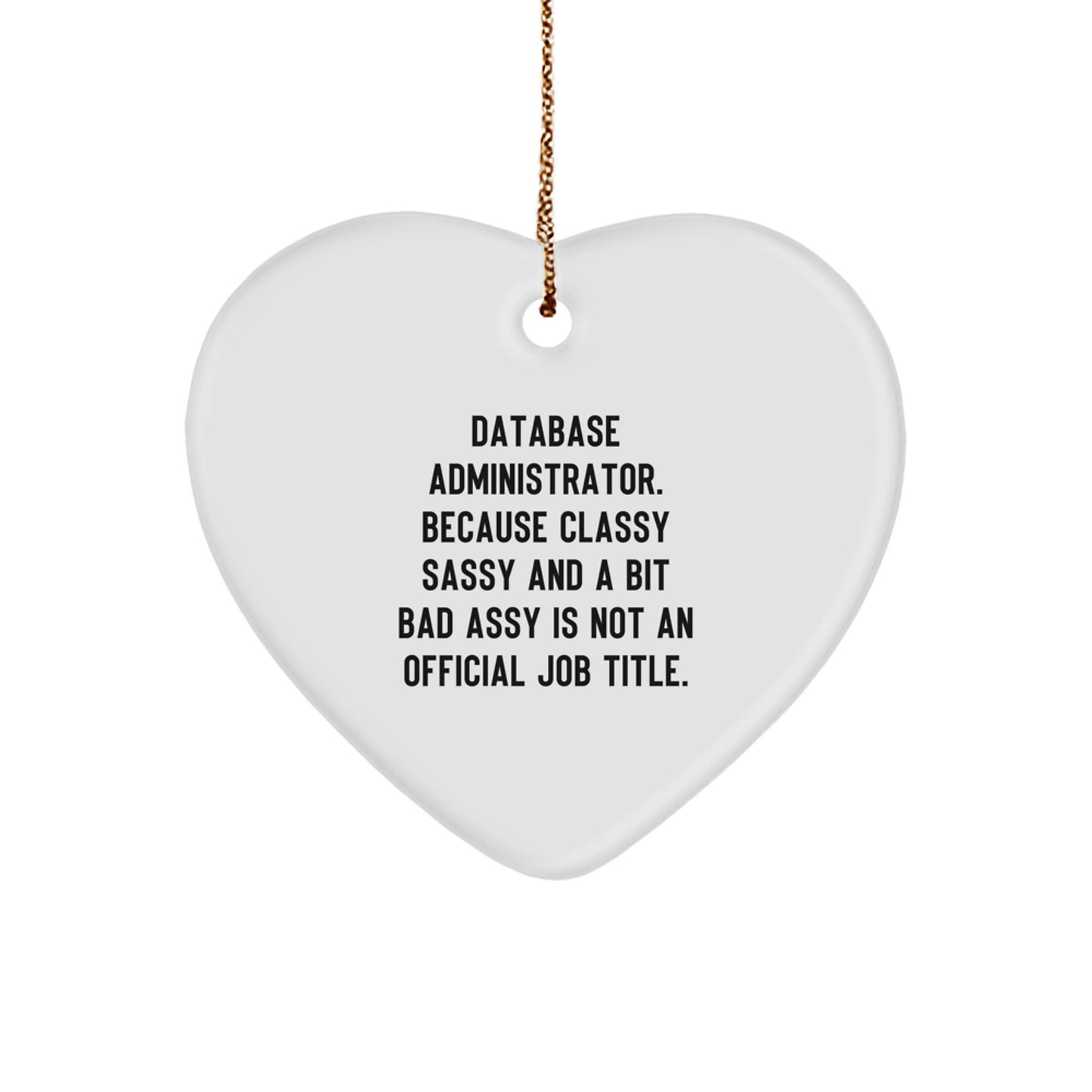 Database Administrator Gifts Funny Heart Ornament for Christmas Unique Gifts from Friends Coworkers Family Members - Image 1