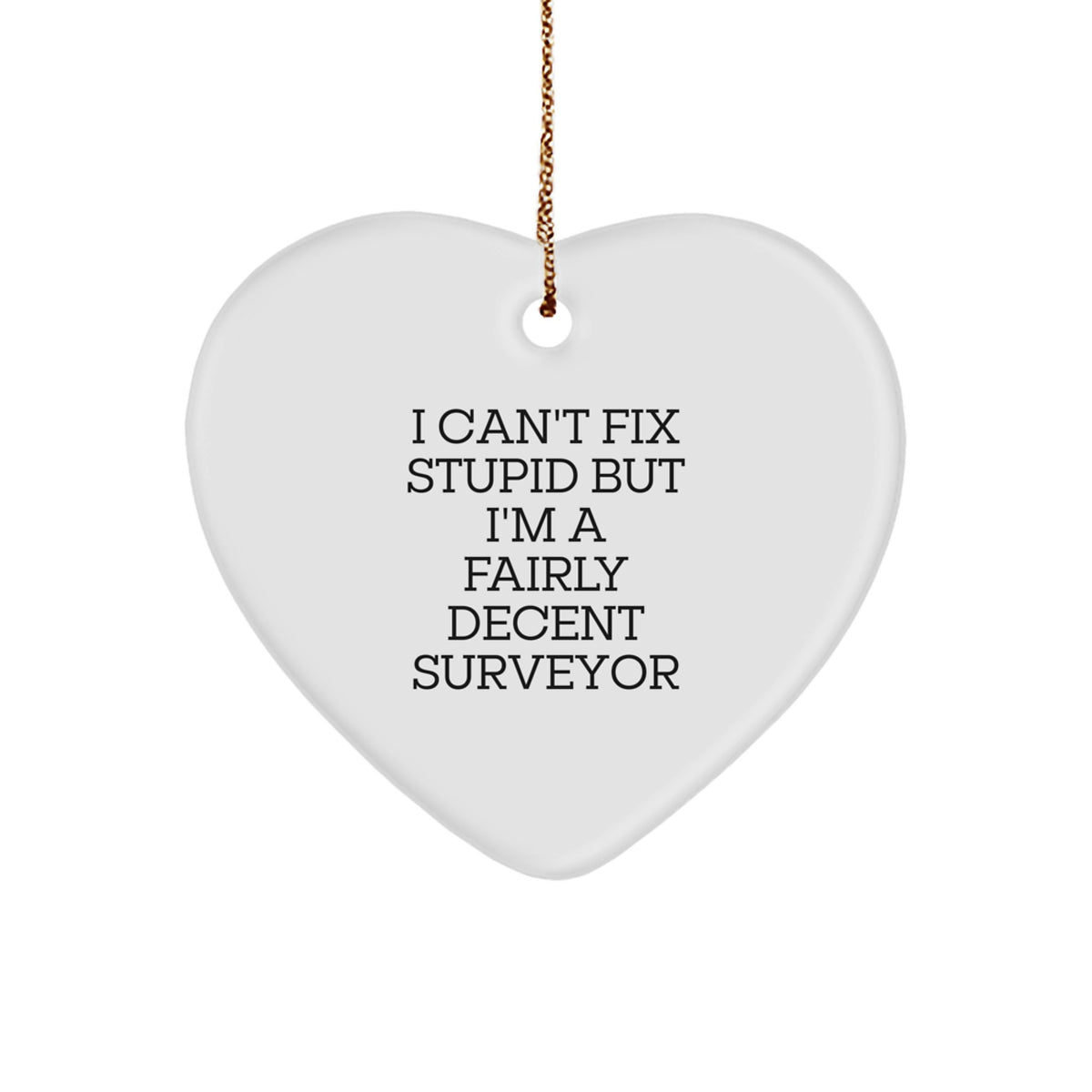 Surveyor Heart Ornament for Him Christmas Unique Gift - Can't Fix Stupid - Image 1
