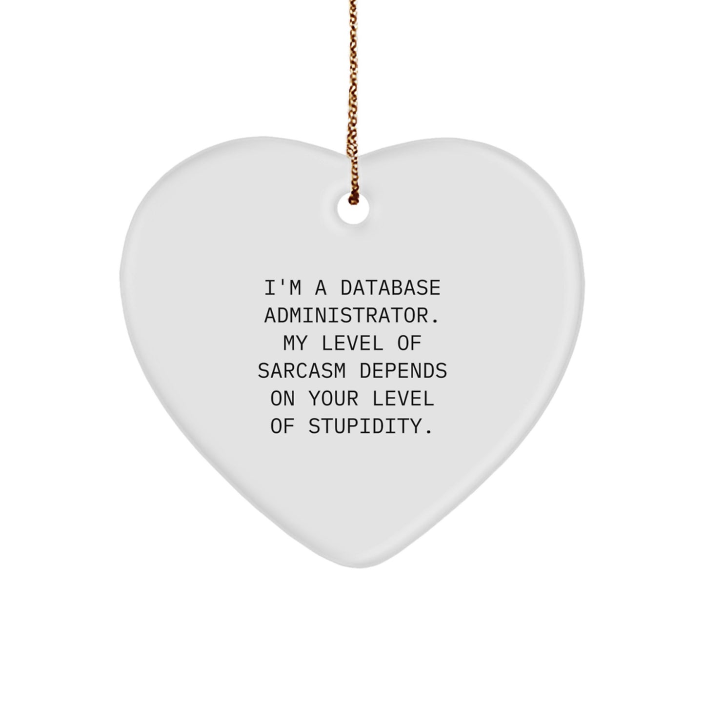 Funny Database Administrator Gifts, Heart Ornament, 'I'm A Database Administrator...' Sarcasm Quote, Christmas Unique Gifts from Men to Coworkers for Database Administrator Friends - Image 1