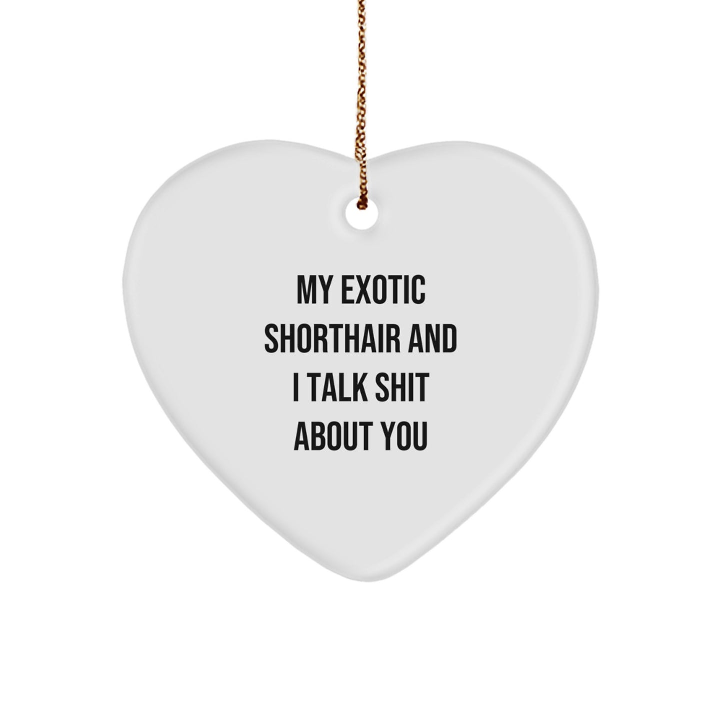Funny Exotic Shorthair Cat Gifts from Men for Christmas Unique Gifts - Exotic Shorthair Cat Heart Ornament with 'My Exotic Shorthair And I Talk Shit About You' Quote - Image 1