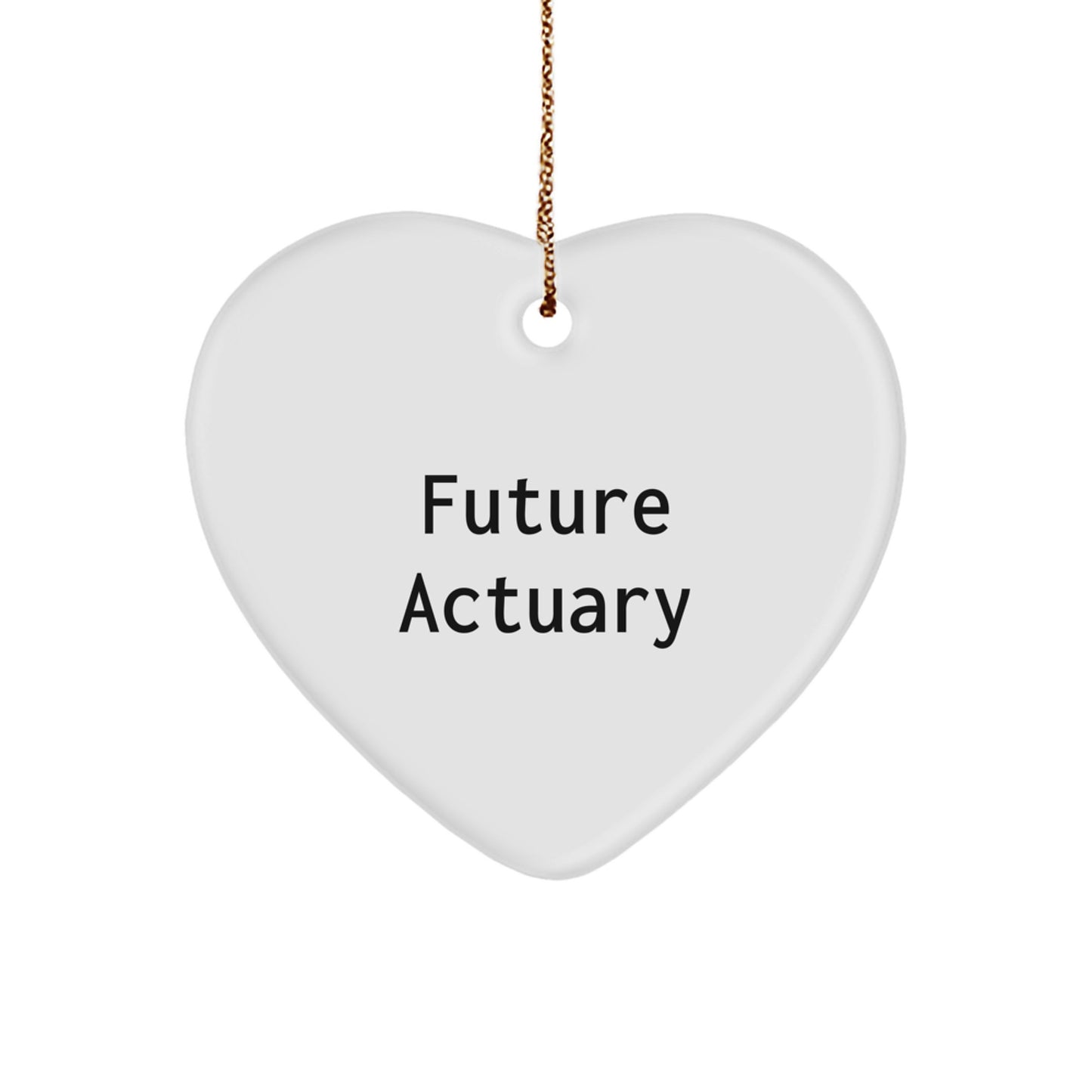 Funny Actuary Gifts for Him, Actuary Heart Ornament, Future Actuary Christmas Unique Gifts from Men to Friends - Image 1