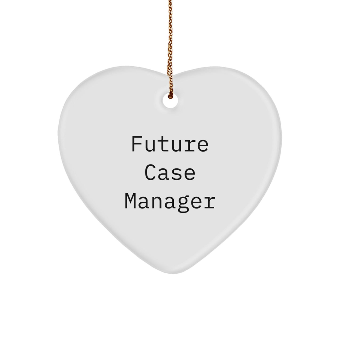 Funny Inspirational Gifts from Friends, Funny Heart Ornament for Future Case Manager, Unique Christmas Unique Gifts for Case Managers - Image 1