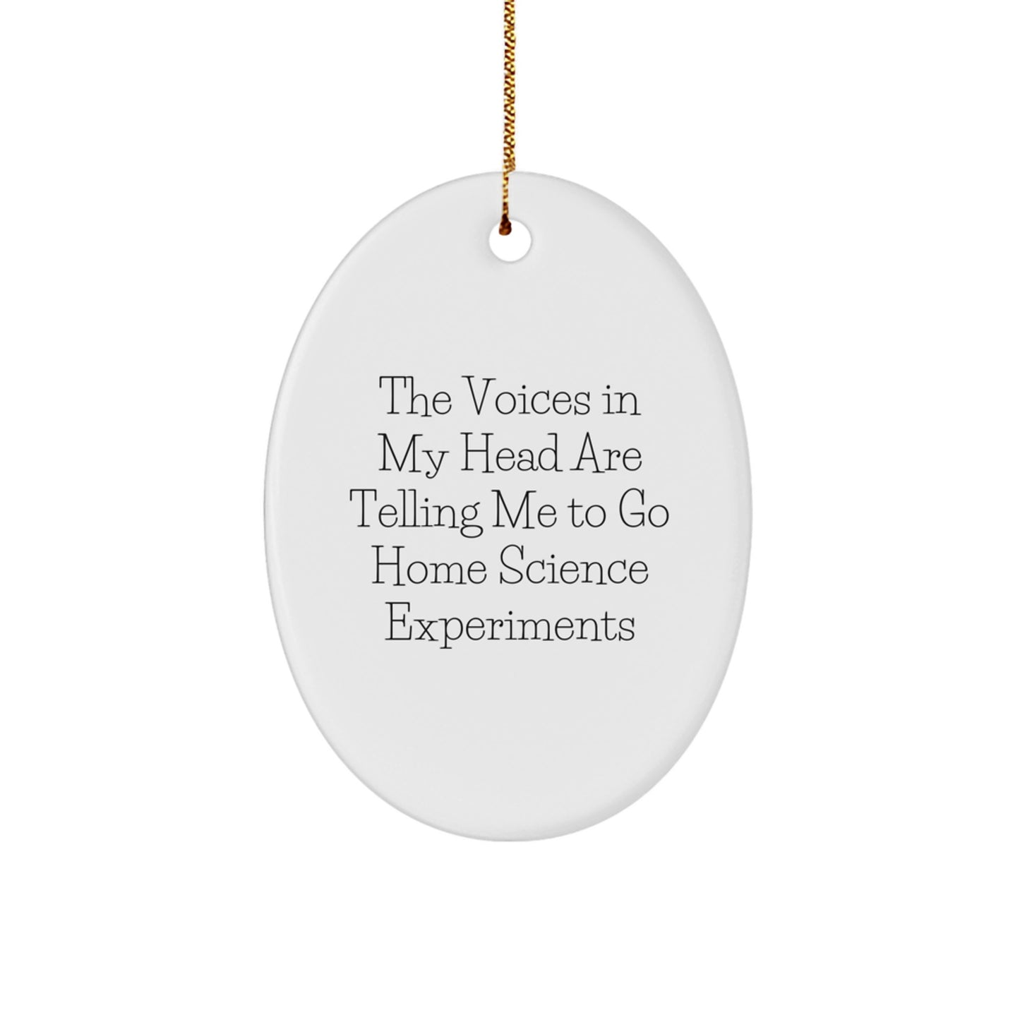 Funny Home Science Experiments Gift - Inspirational Quote Oval Ornament for Men, Women, or Friends, Gifts from Family, Perfect for Home Science Experiments Enthusiasts, Unique Christmas Unique Gifts - Image 1