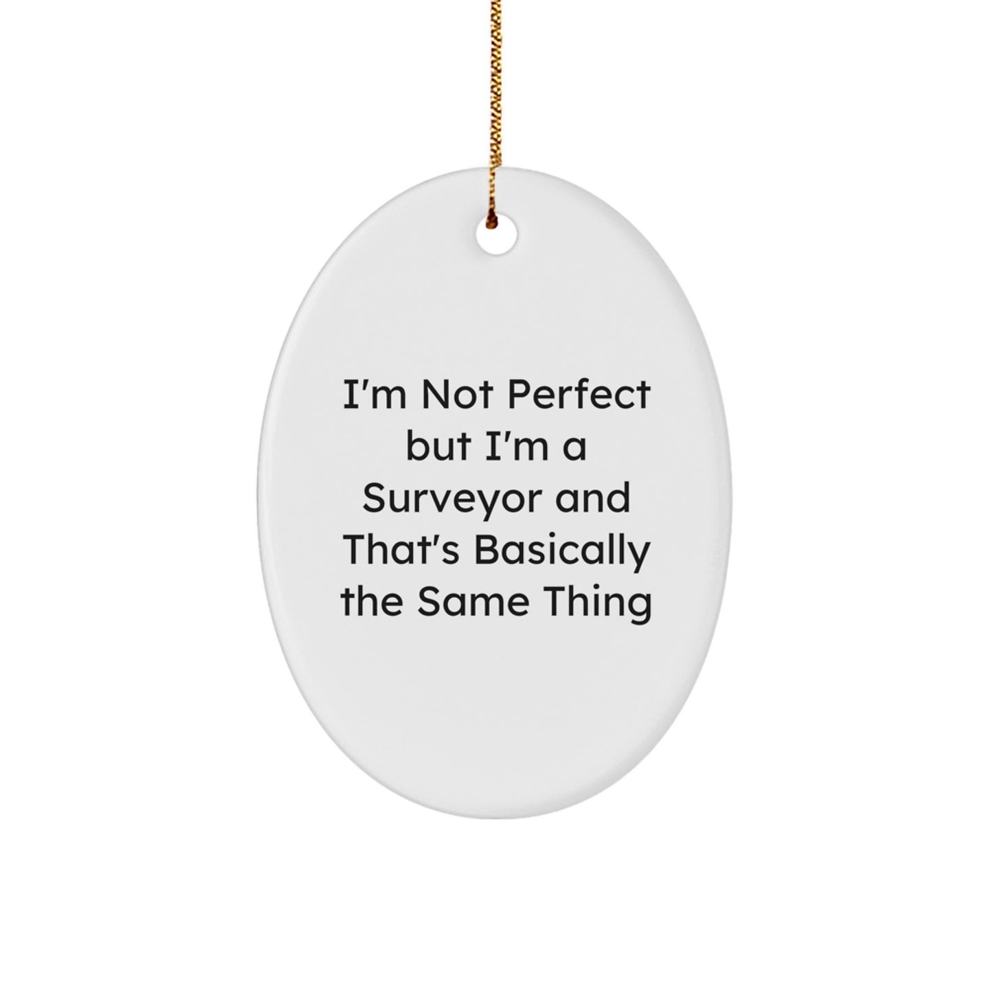 Funny Surveyor Gifts from Friends to Men - I'm Not Perfect Oval Ornament for Christmas - Image 1