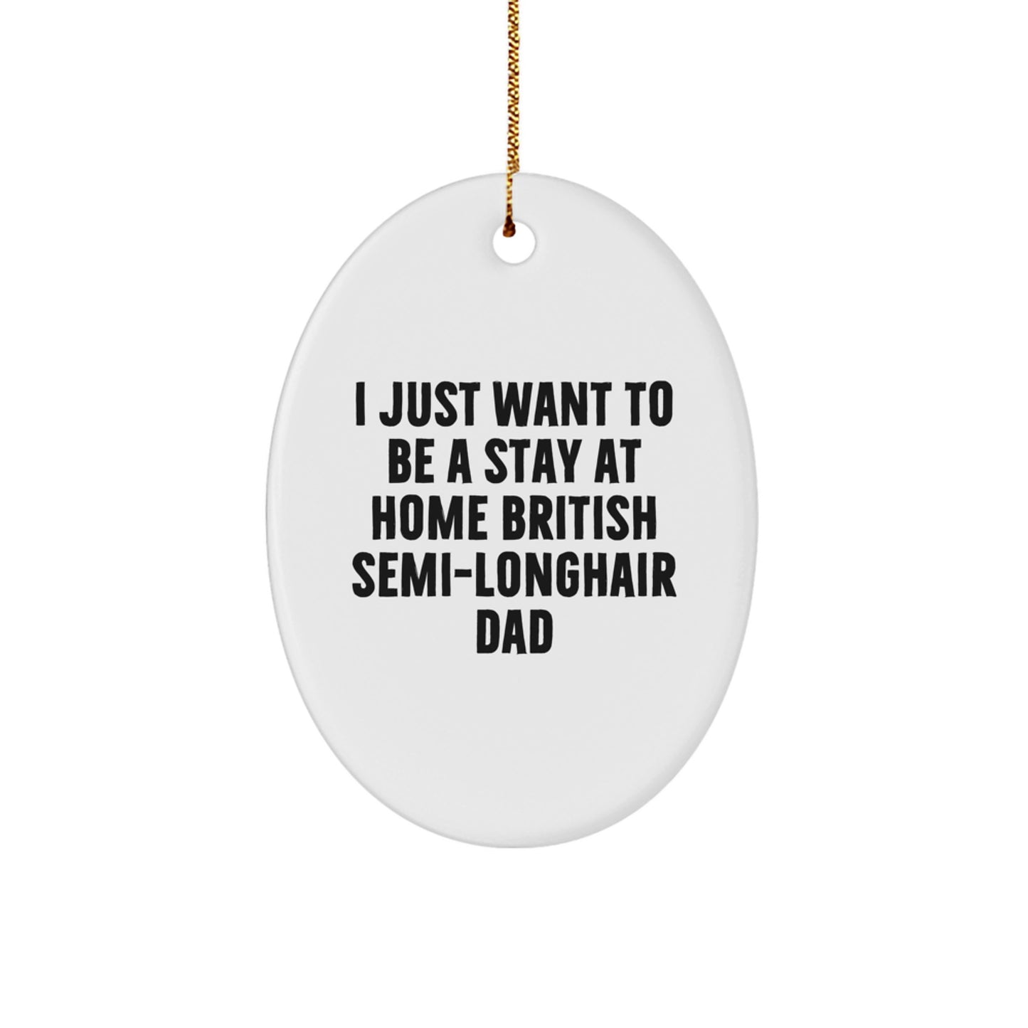 Funny British Semi-Longhair Cat Gifts, I Just Want To Be A Stay At Home Dad Oval Ornament for Christmas, Gifts from Dad to British Semi-Longhair Cat, Unique Christmas Unique Gifts - Image 1