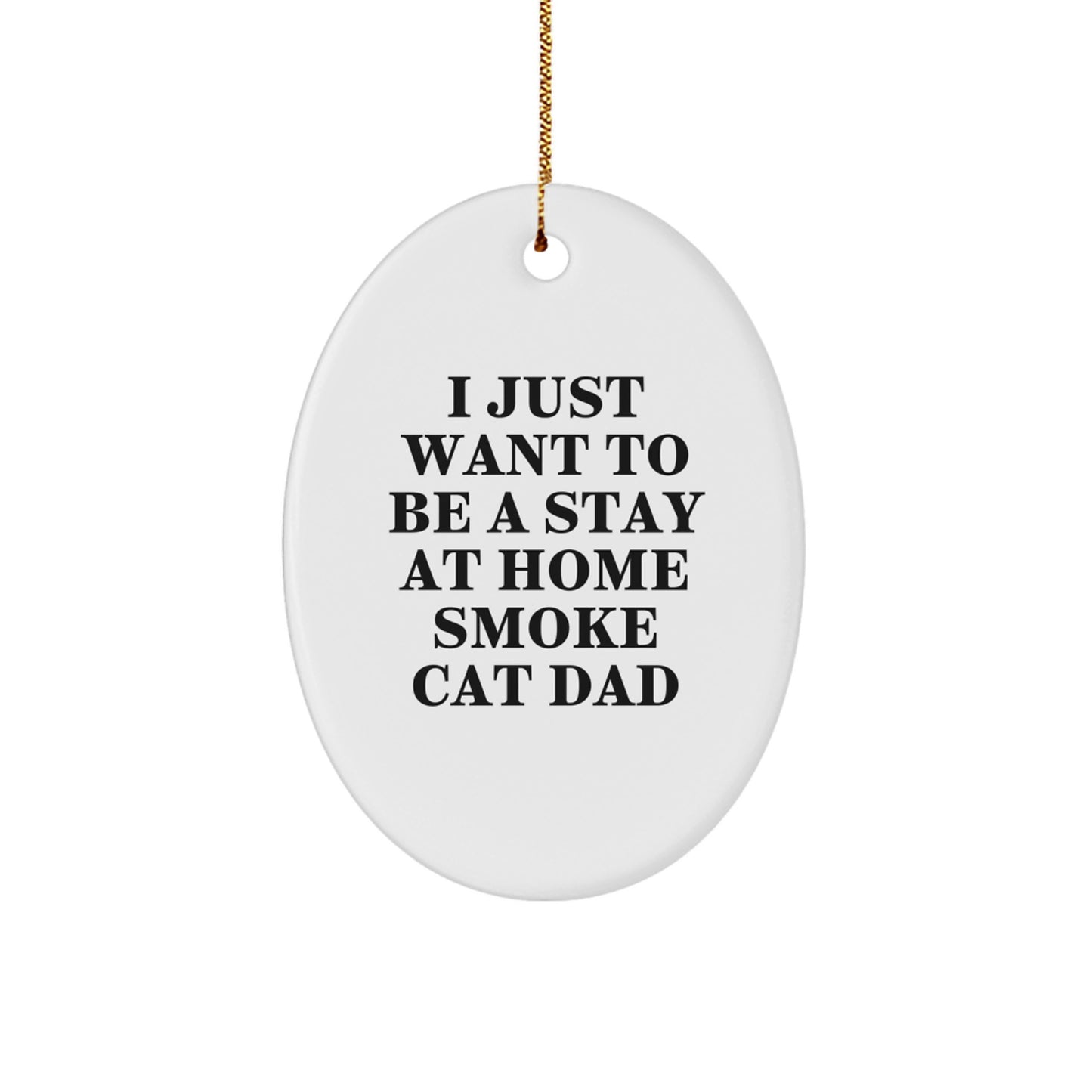 Funny Smoke Cat Dad Oval Ornament Gifts from Family for Men - 'I Just Want To Be A Stay At Home Smoke Cat Dad' Christmas Decor - Image 1