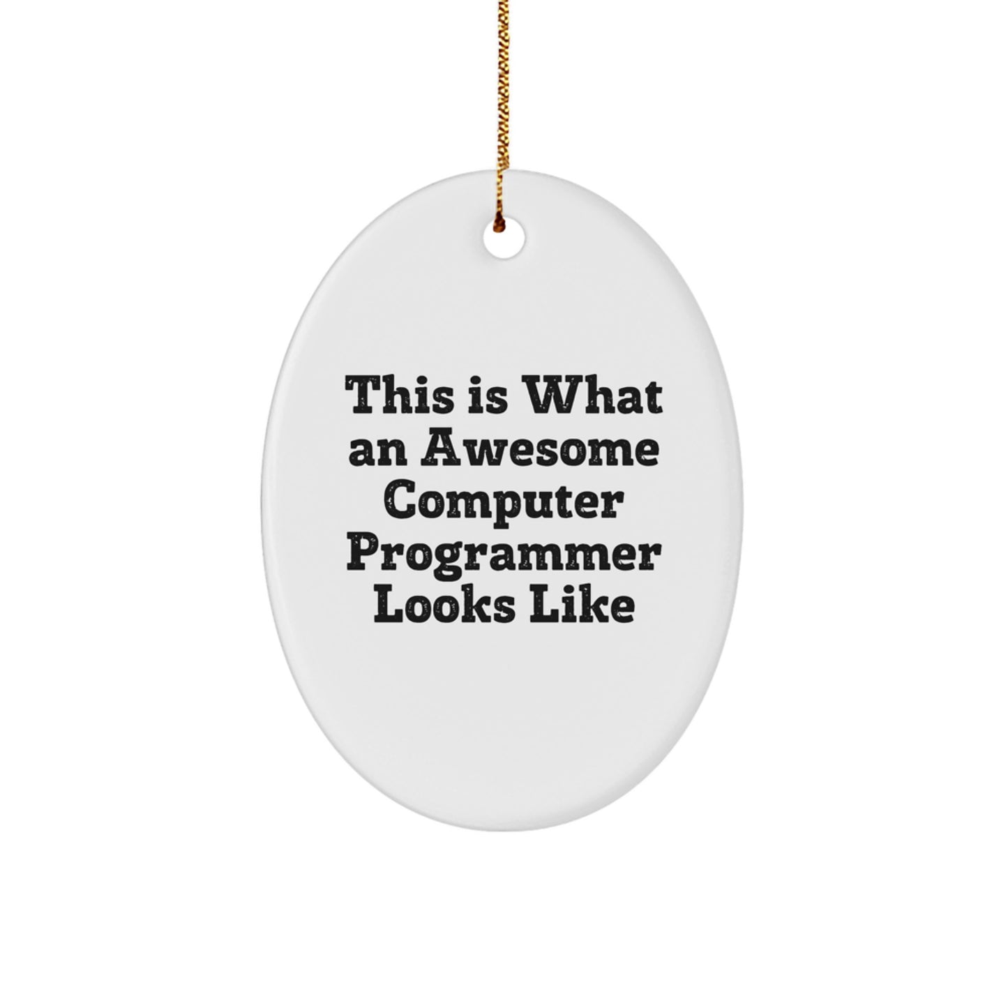 Computer Programmer Oval Ornament Gifts from Friends and Family - Inspirational Quote This Is What An Awesome Computer Programmer Looks Like - Christmas Unique Gifts - Image 1