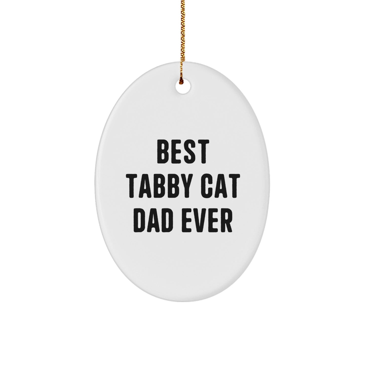 Tabby Cat Dad Ever Oval Ornament Gifts from Men to Family for Christmas - Image 1