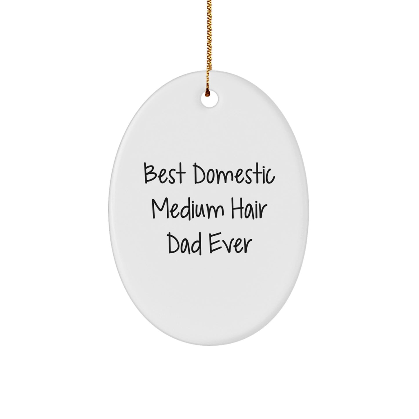 Funny Domestic Medium Hair Cat Dad Ever Oval Ornament Gifts from Men to Friends and Family for Christmas - Image 1