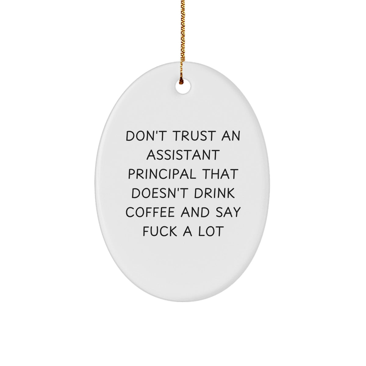 Assistant Principal Keepsake Holiday Christmas Ornament for Him Gift - Image 1