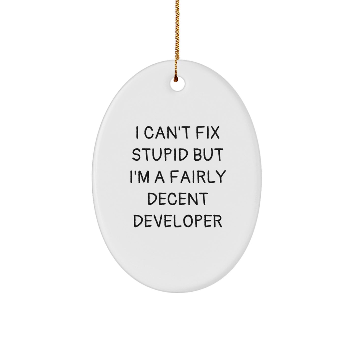 Funny Developer Gifts from Friends for Men - Oval Ornament I Can't Fix Stupid But I'm A Fairly Decent Developer - Christmas Unique Decorations - Image 1