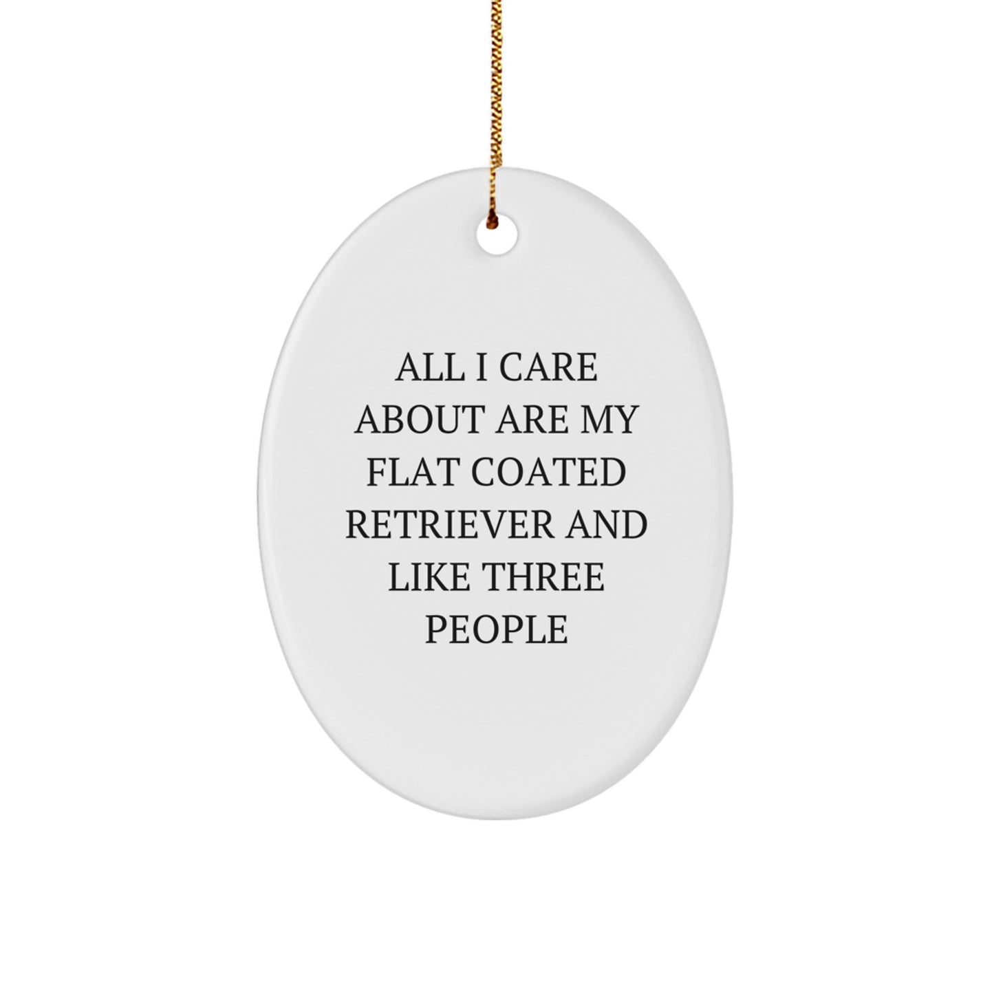 Funny Flat Coated Retriever Dog Gifts from Friends - All I Care About Are My Flat Coated Retriever And Like Three People Oval Ornament for Christmas - Image 1