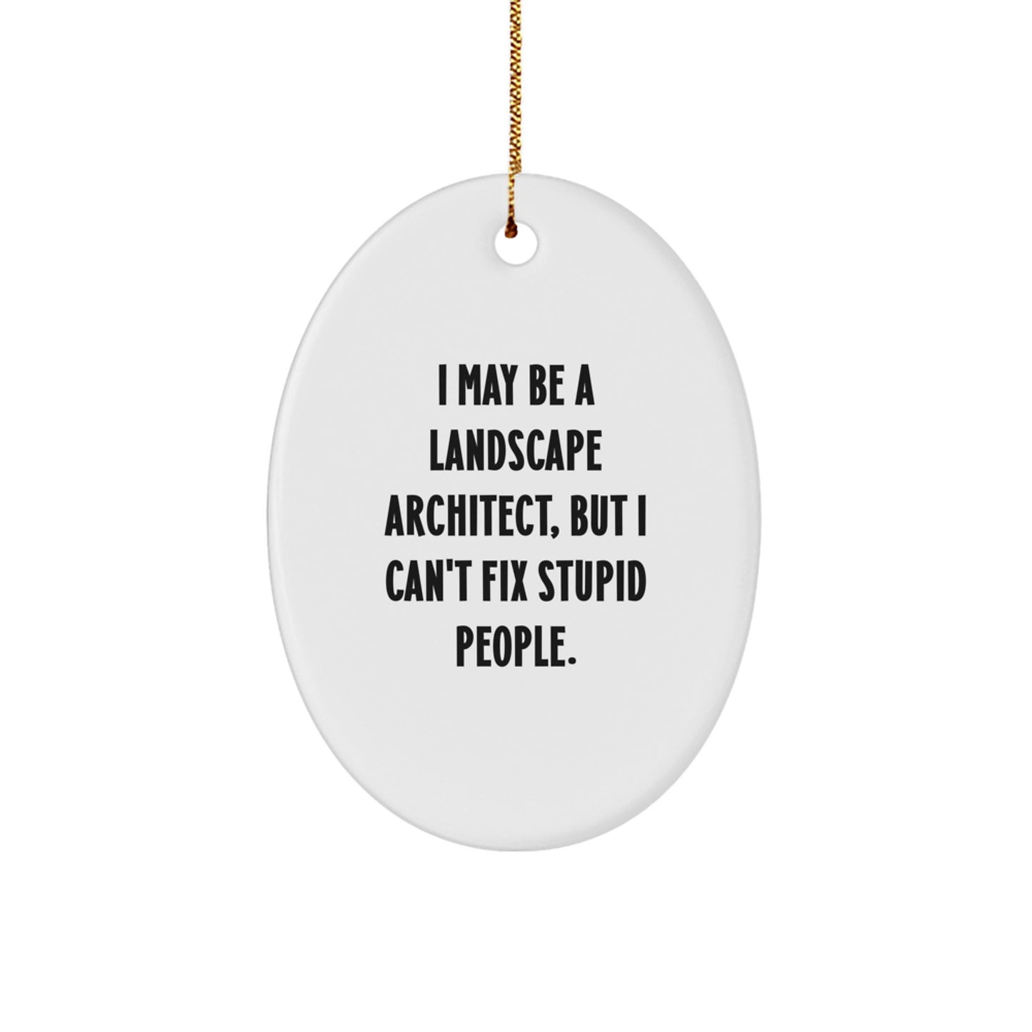 Funny Landscape Architect Gifts for Men - Oval Ornament with I May Be a Landscape Architect But Cant Fix Stupid People Humor, Gifts from Men to Coworkers, Christmas Unique Gifts - Image 1