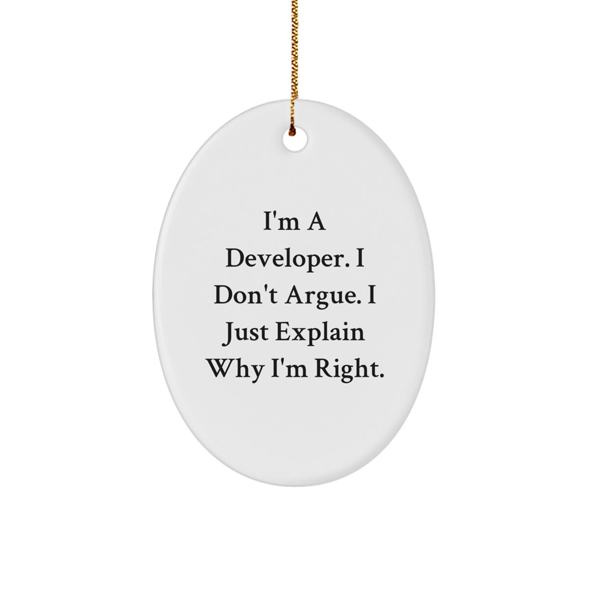 Christmas Gift Developer Ornament - I Don't Argue, I Explain Why I'm - Image 1
