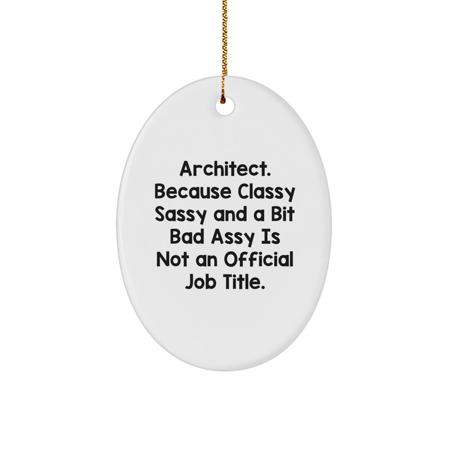 Funny Architect Oval Ornament Christmas Unique Gifts for Men from Friends, Oval Architect Decorations with Humor, Unique Christmas Unique Gifts for Him - Image 1