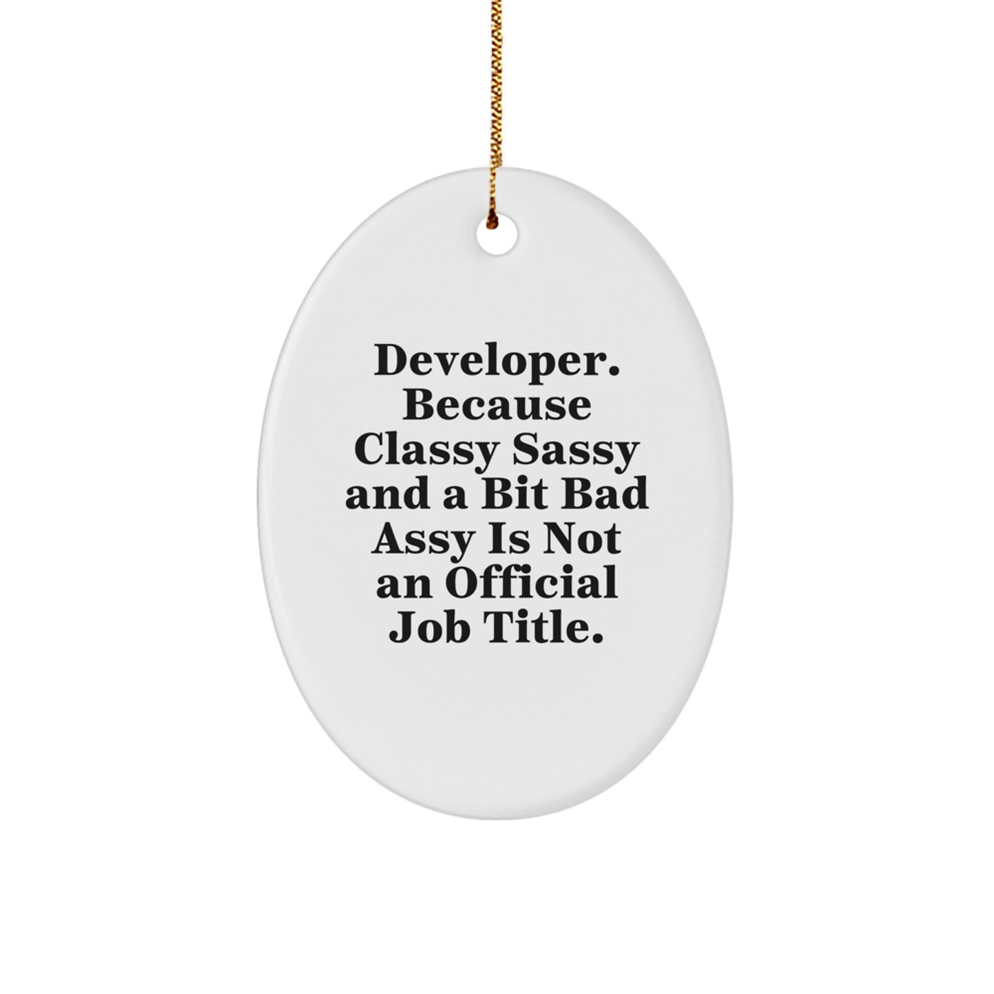 Funny Developer Gifts for Men, Oval Ornament, Gifts from Friends to Developer, Christmas Unique Gifts - Image 1