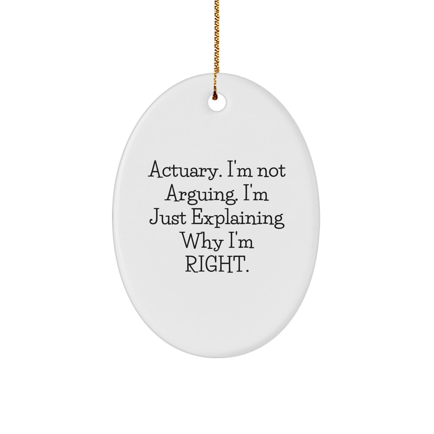 Funny Actuary Quotes Oval Ornament Gifts from Men to Friends, Christmas Unique Gifts for Actuary, Oval Shaped Decorative Item - Image 1