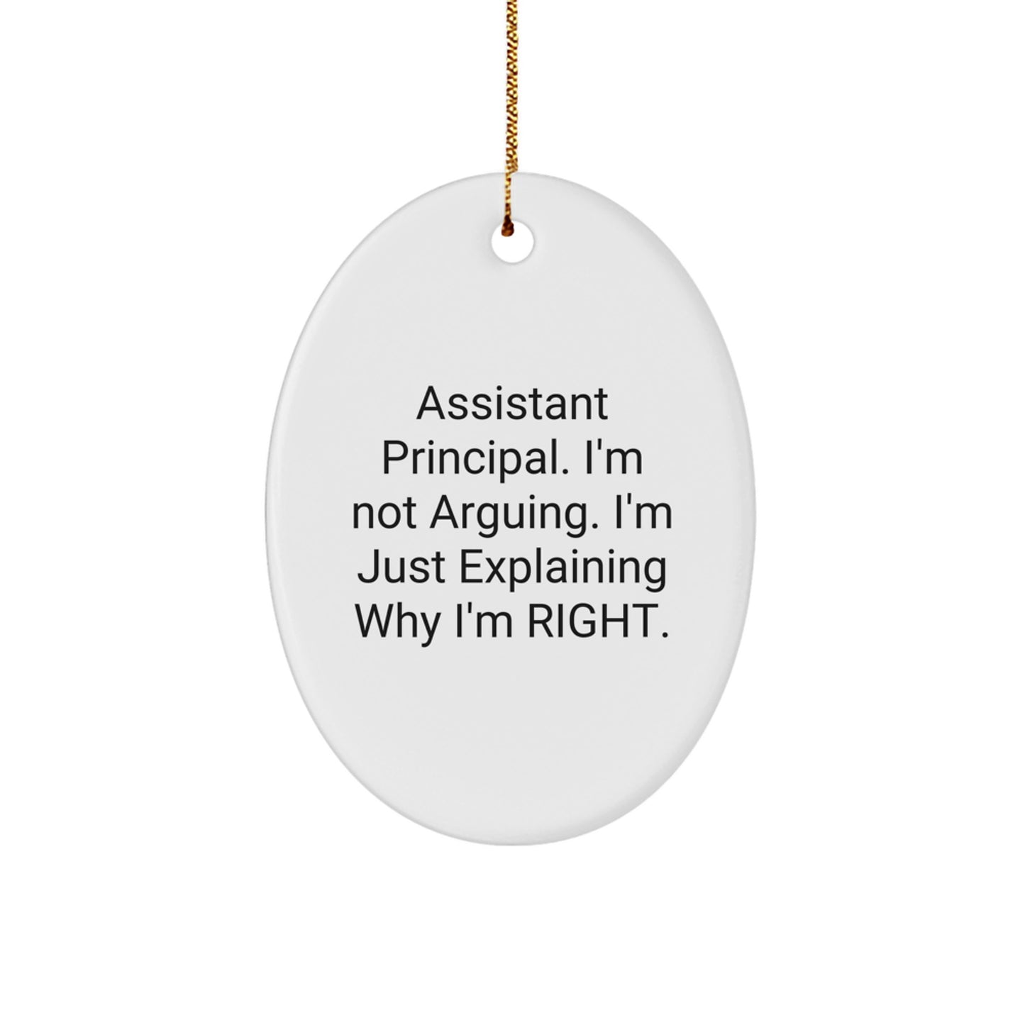 Funny Assistant Principal Gifts for Men - Oval Ornament Christmas Unique Decorations from Friends - Gifts for Assistant Principal Men - Image 1