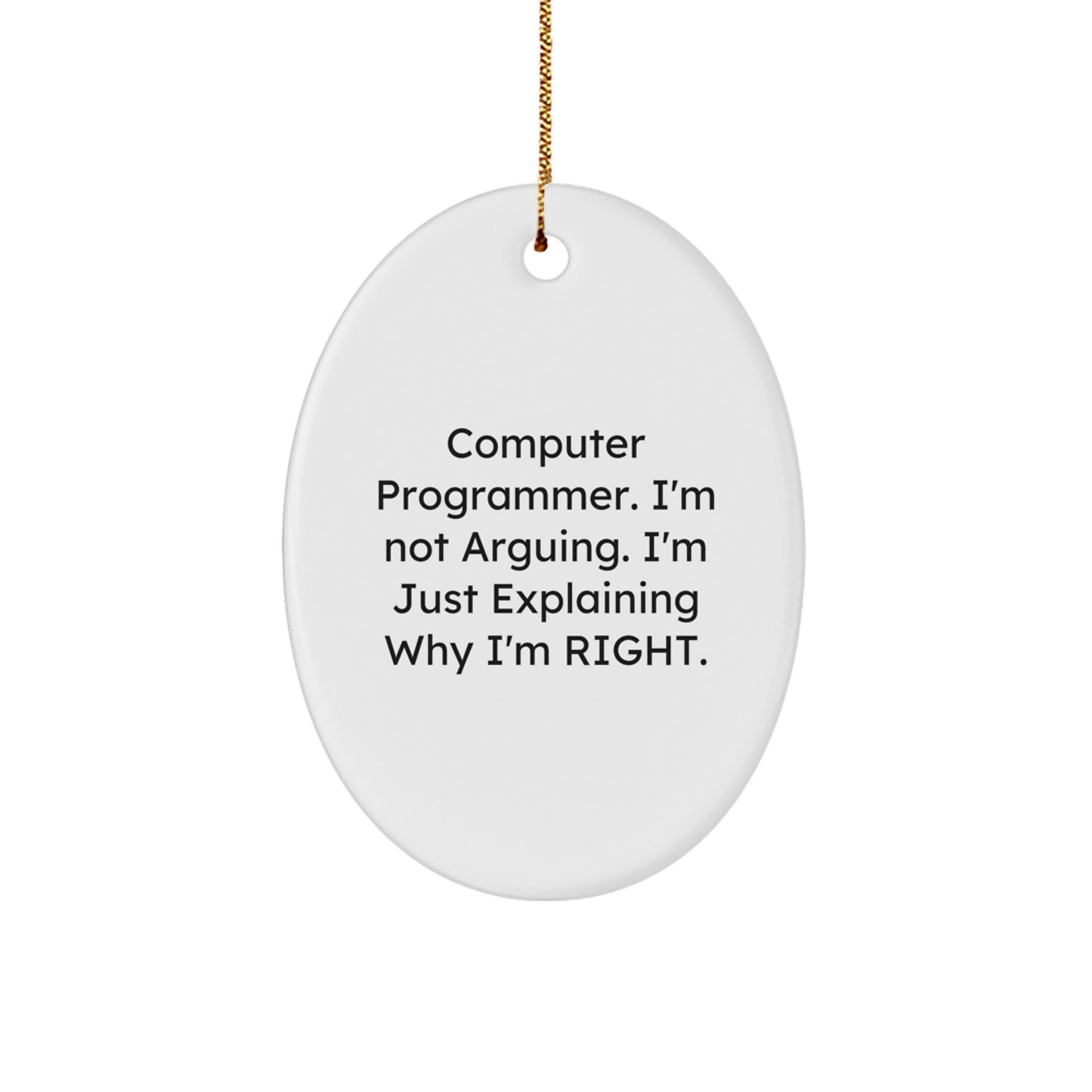 Computer Programmer Humor Oval Ornament, Funny Quote Gifts for Men from Friends, White Oval Shaped MDF with High-Gloss Finish, Perfect for Christmas Decor - Image 1