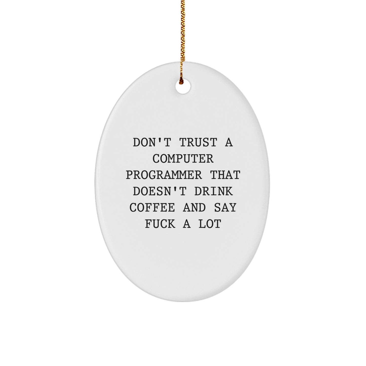 Funny Computer Programmer Oval Ornament Gifts from Friends for Men, Christmas Unique Oval Shaped MDF Decor - Image 1