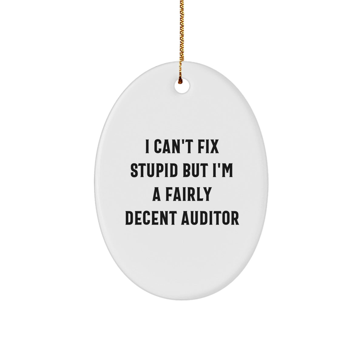 Auditor Oval Ornament for Family Christmas Unique Gift Can't Fix Stupid - Image 1