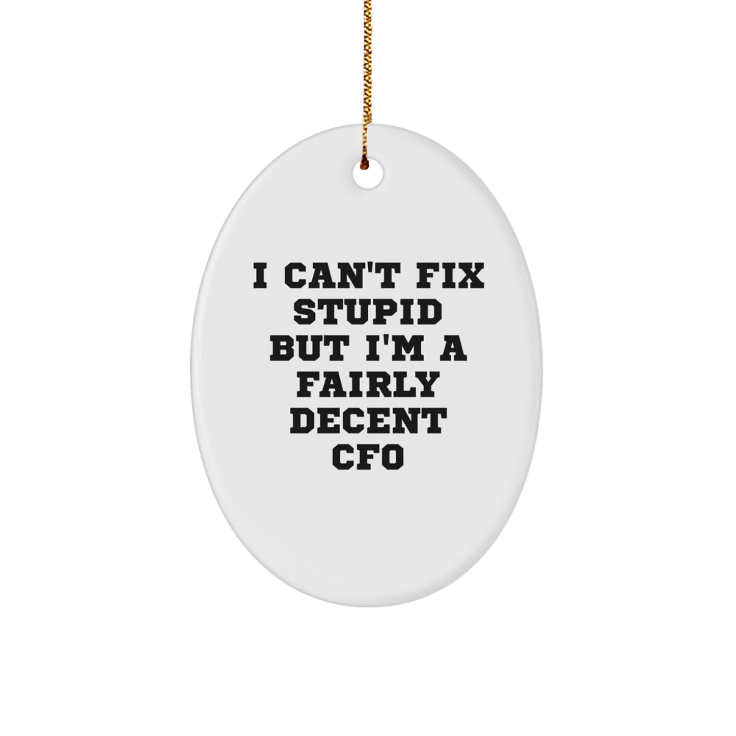Funny CFO Gifts for Men, Women, Coworkers, Family - Oval Ornament for Christmas 'I Can't Fix Stupid But I'm A Fairly Decent CFO' Quote, Durable MDF with High-Gloss Finish - Image 1