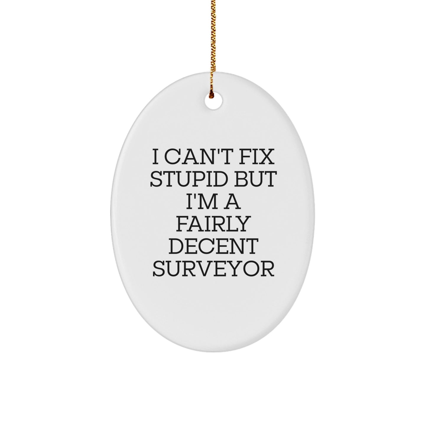 For Him Keepsake Surveyor Christmas Ornament I Can't Fix Stupid Gift - Image 1