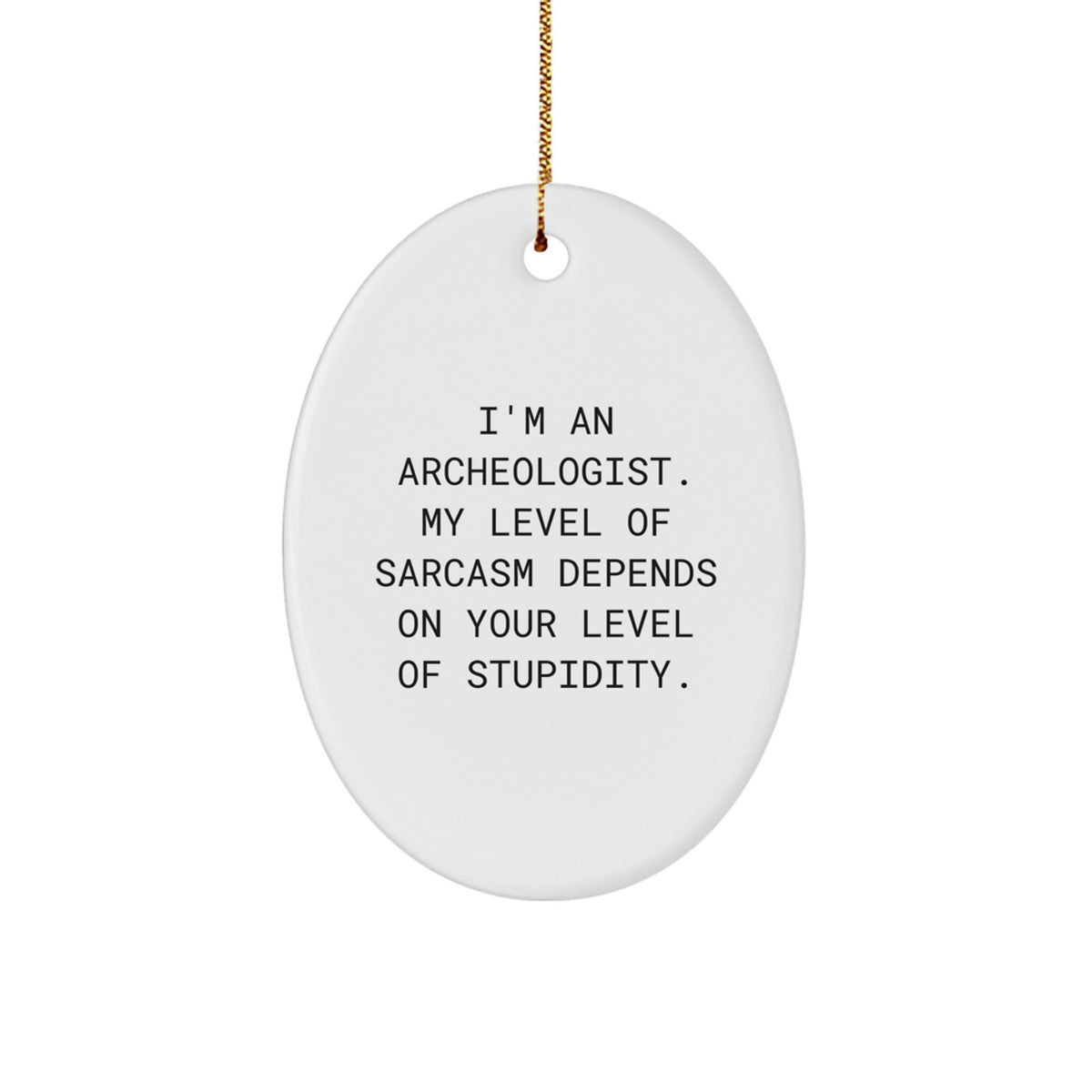 Christmas Unique Gift for Her Archeologist Sarcasm Ornament Present - Image 1
