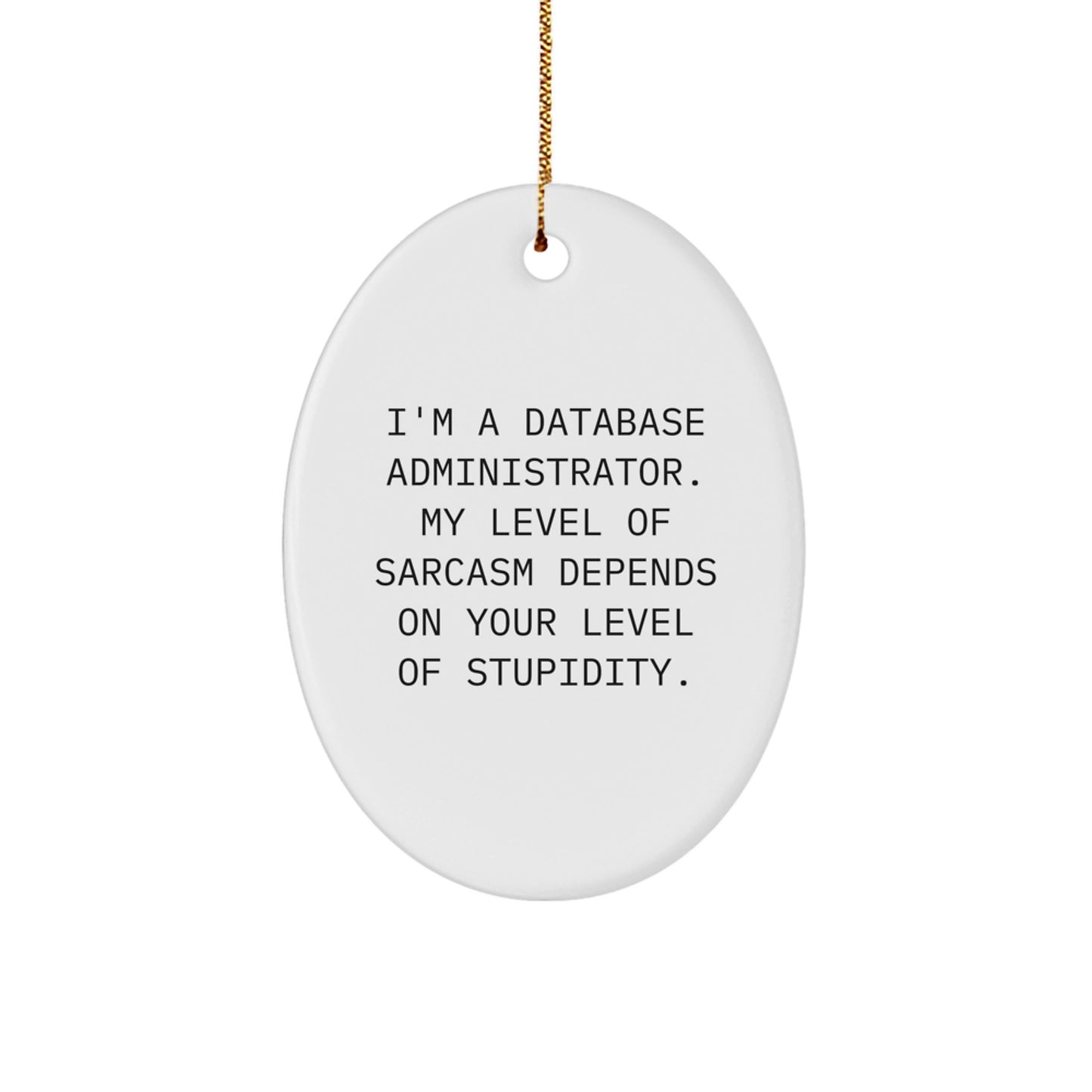 Sassy Database Administrator Oval Ornament, Funny Quote Gifts from Friends for Men, Unique Christmas Unique Gifts for Coworkers, 'I'm a Database Administrator' - Image 1