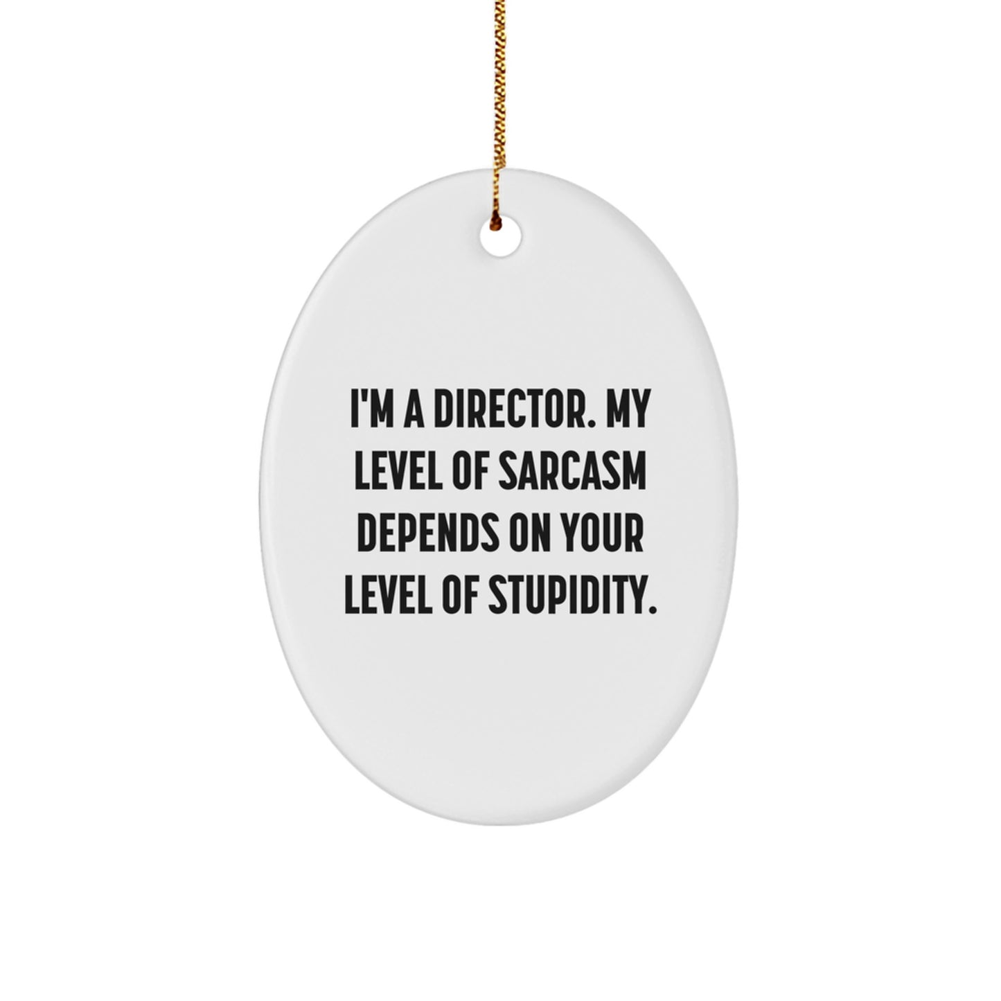 Funny Director Gifts from Friends Unique Oval Ornament for Director Christmas Unique Gifts - Image 1
