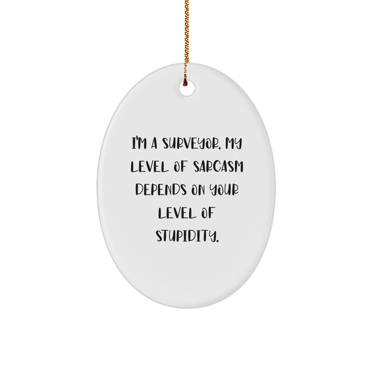 Sarcastic I'm a Surveyor Christmas Unique Gift Oval Ornament for Friends - Image 1