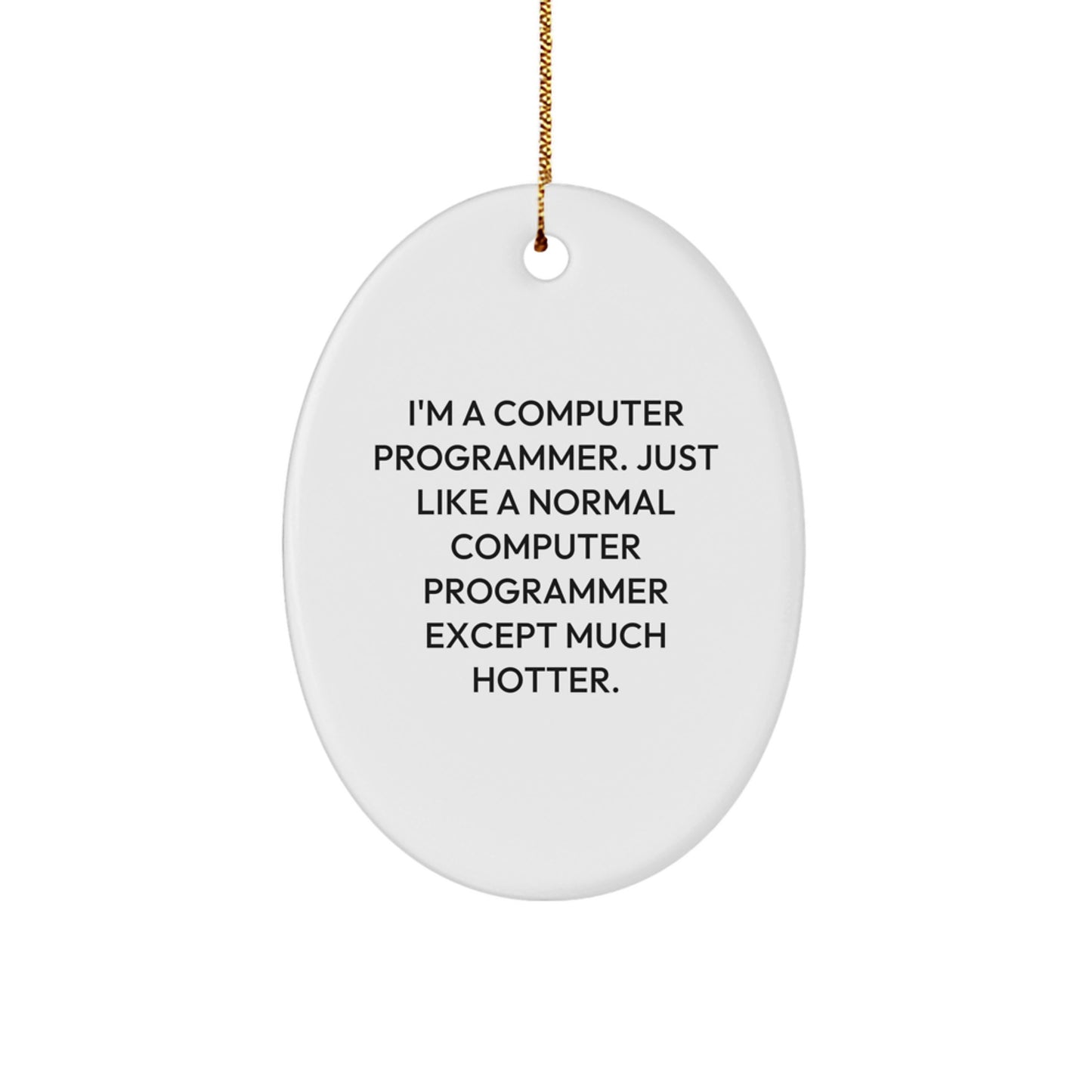 Funny Computer Programmer Oval Ornament - Gifts for Friends, Coworkers, Family from Men - Unique Christmas Decorations - Image 1