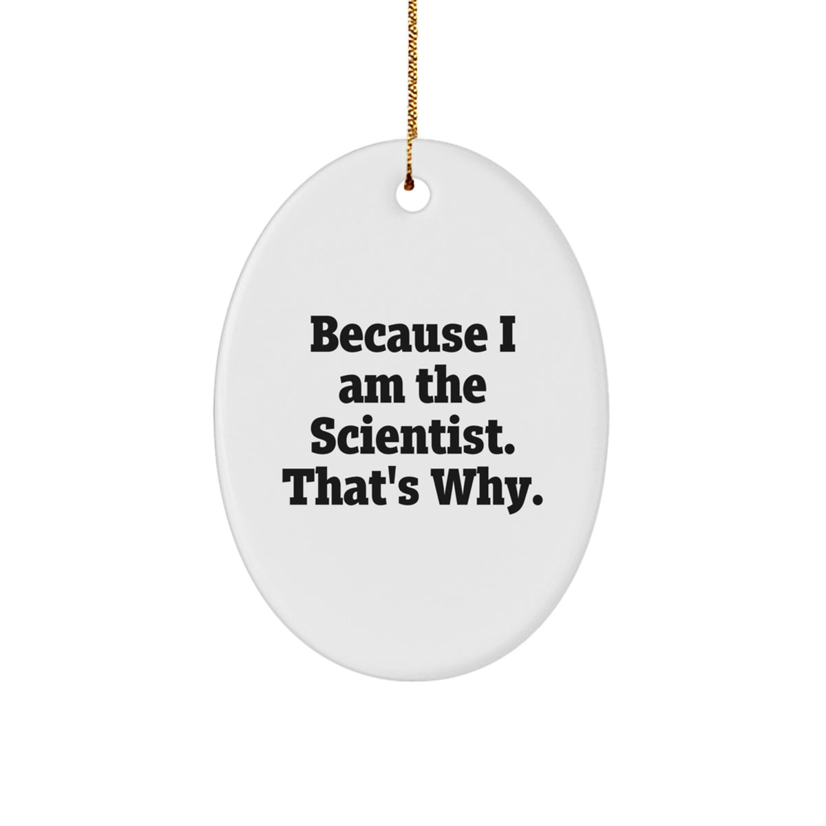 Scientific Scientist Keepsake Christmas Elegant Ornament for Him Gift - Image 1