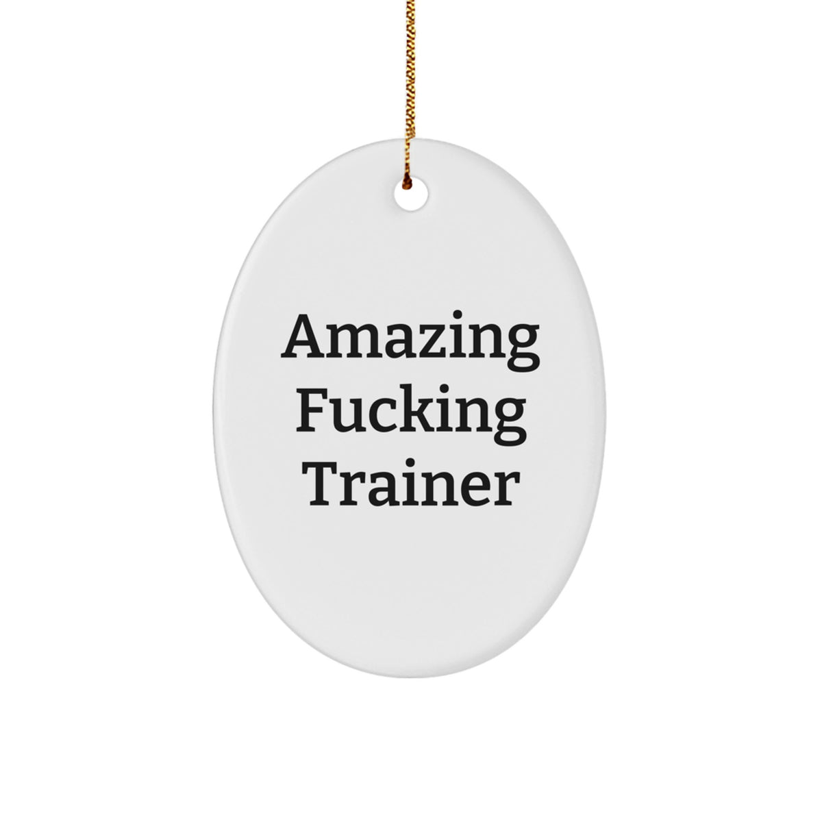 Trainer Oval Ornament Idea Gift for Coworkers – Christmas - Image 1