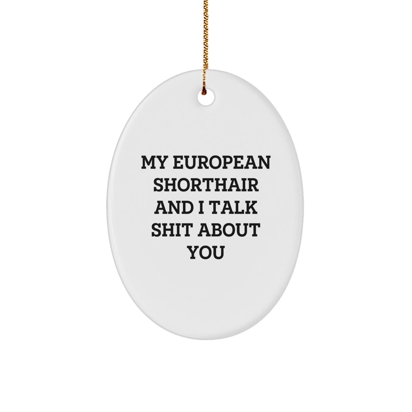 Funny European Shorthair Cat Oval Ornament Gifts from Friends for Christmas - Image 1