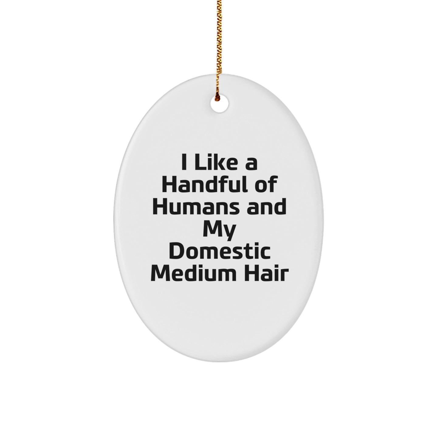 Funny Domestic Medium Hair Oval Ornament Gifts for Friends from Men, Unique Christmas Decorations for Home - Image 1
