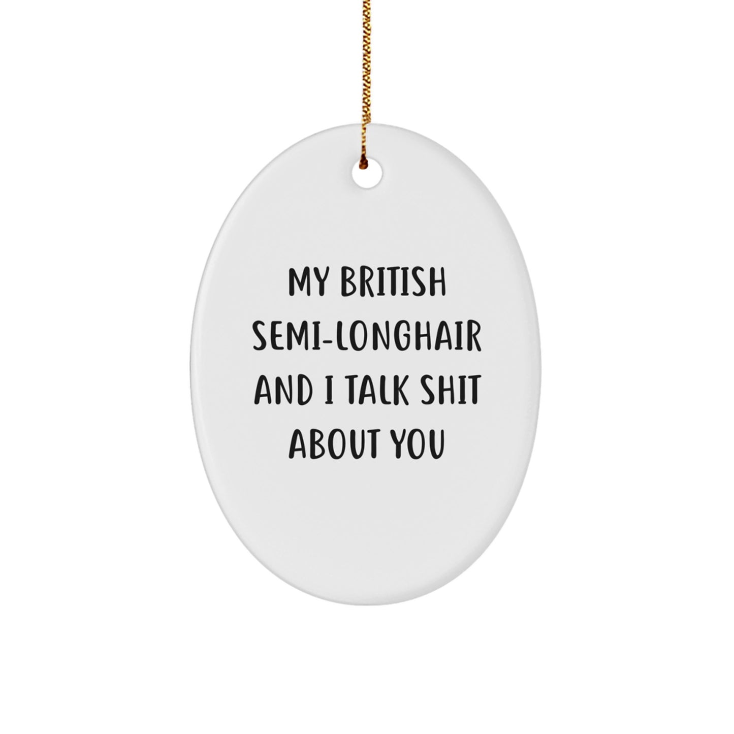 British Semi-Longhair Cat Oval Ornament Funny Gift for Friends and Family - 'My British Semi-longhair And I Talk Shit About You' - Image 1