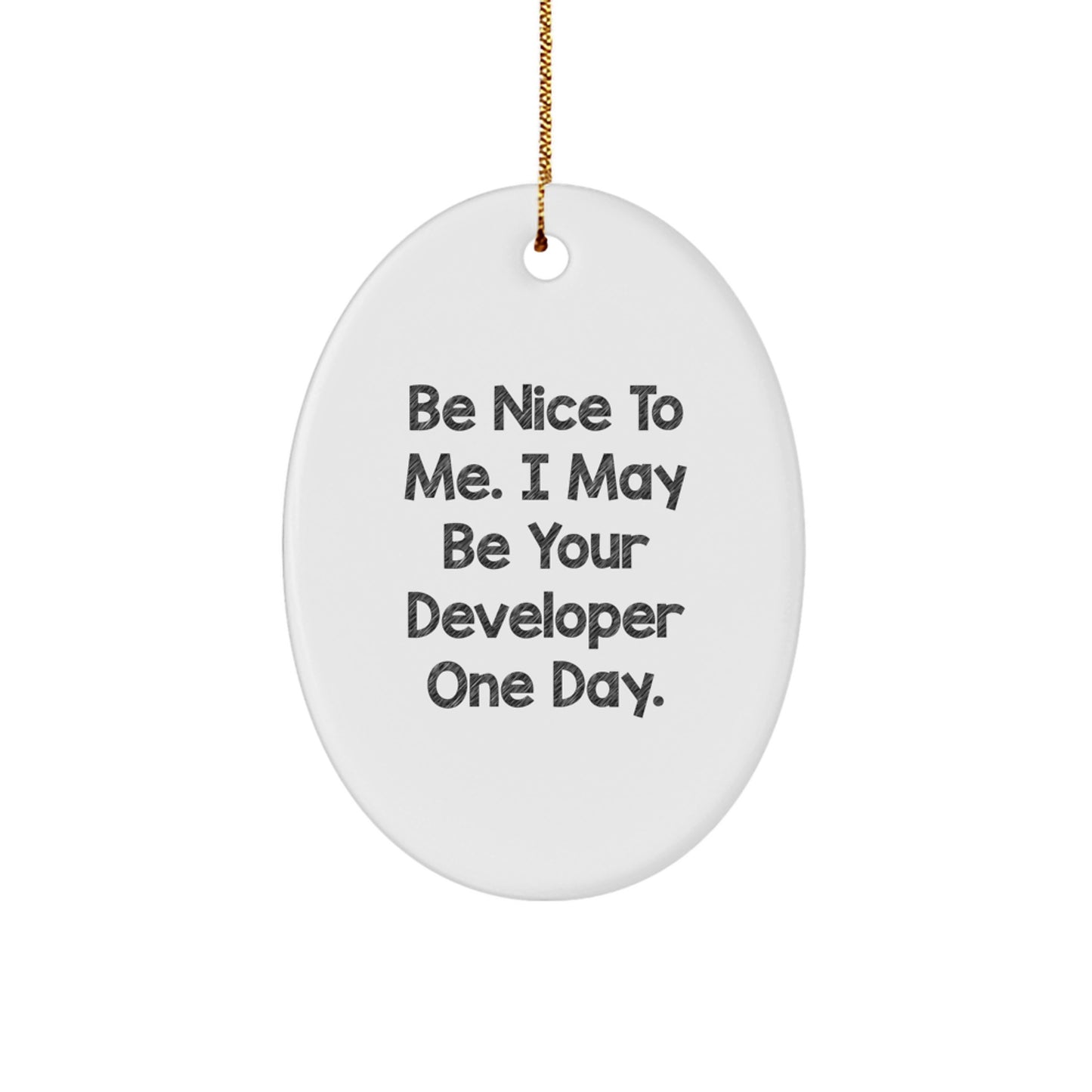 Unique Developer Gift Ideas Funny Oval Ornament for Developer Friends Family Colleagues Gifts from Men Women Friends Family - Image 1