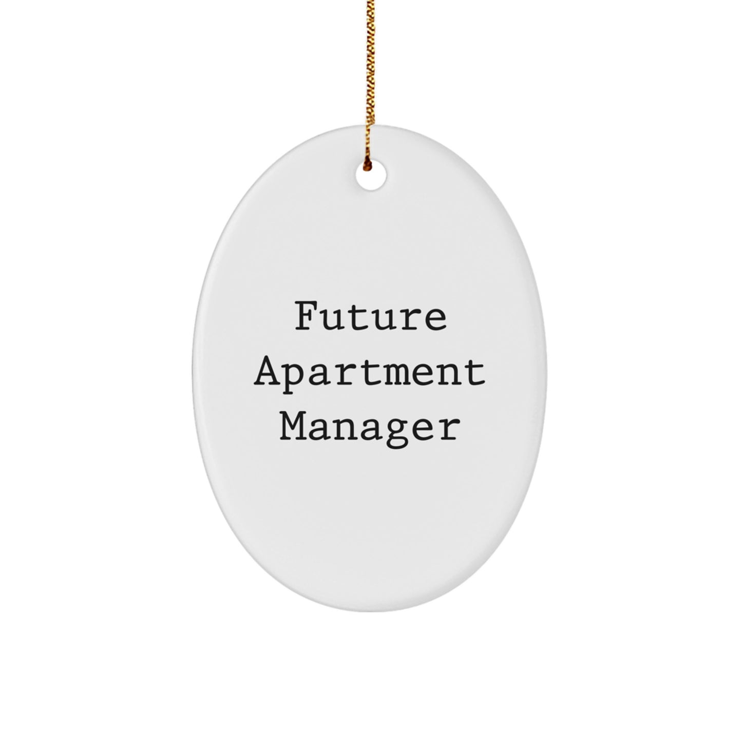 Funny Quote Oval Ornament, Apartment Manager Gift, Gifts from Friends for Future Apartment Manager, Christmas Unique Gifts - Image 1