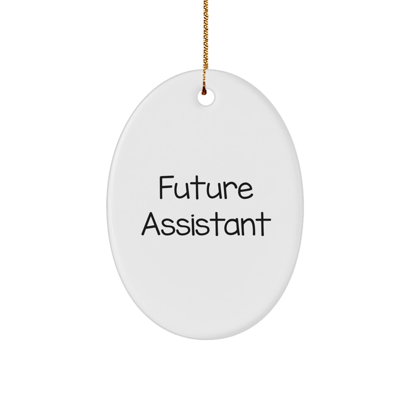 Funny Future Assistant Gifts from Friends, Oval Ornament for Christmas, 'Life is a Puzzle' Quote, Gifts for Future Assistants - Image 1