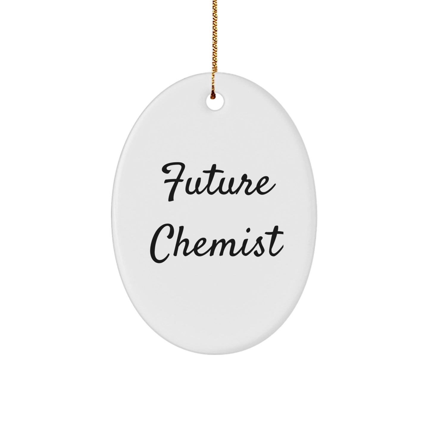 Funny Future Chemist Oval Ornament Gifts from Family for Friends Christmas Unique Gifts - Image 1