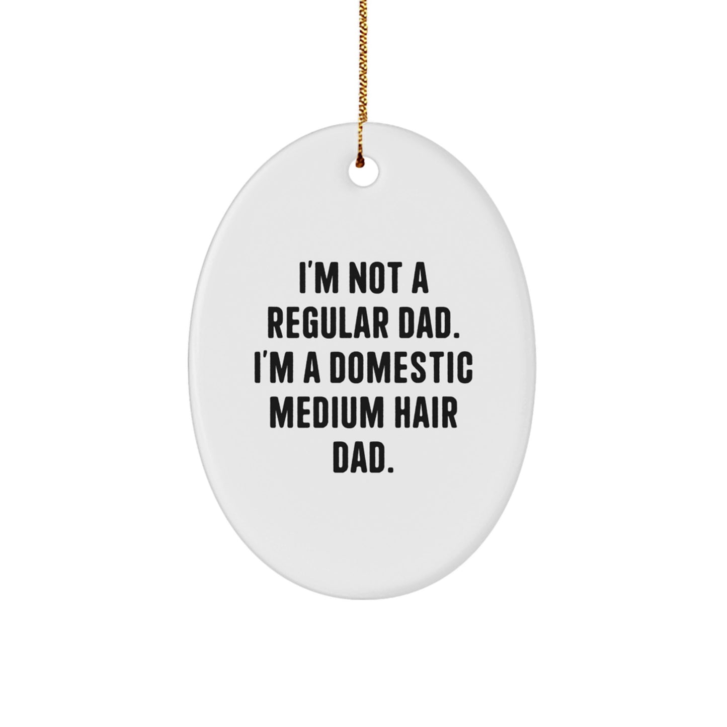 Funny Domestic Medium Hair Cat Dad Gifts Oval Ornament for Christmas Unique Gifts from Men to Family - Image 1