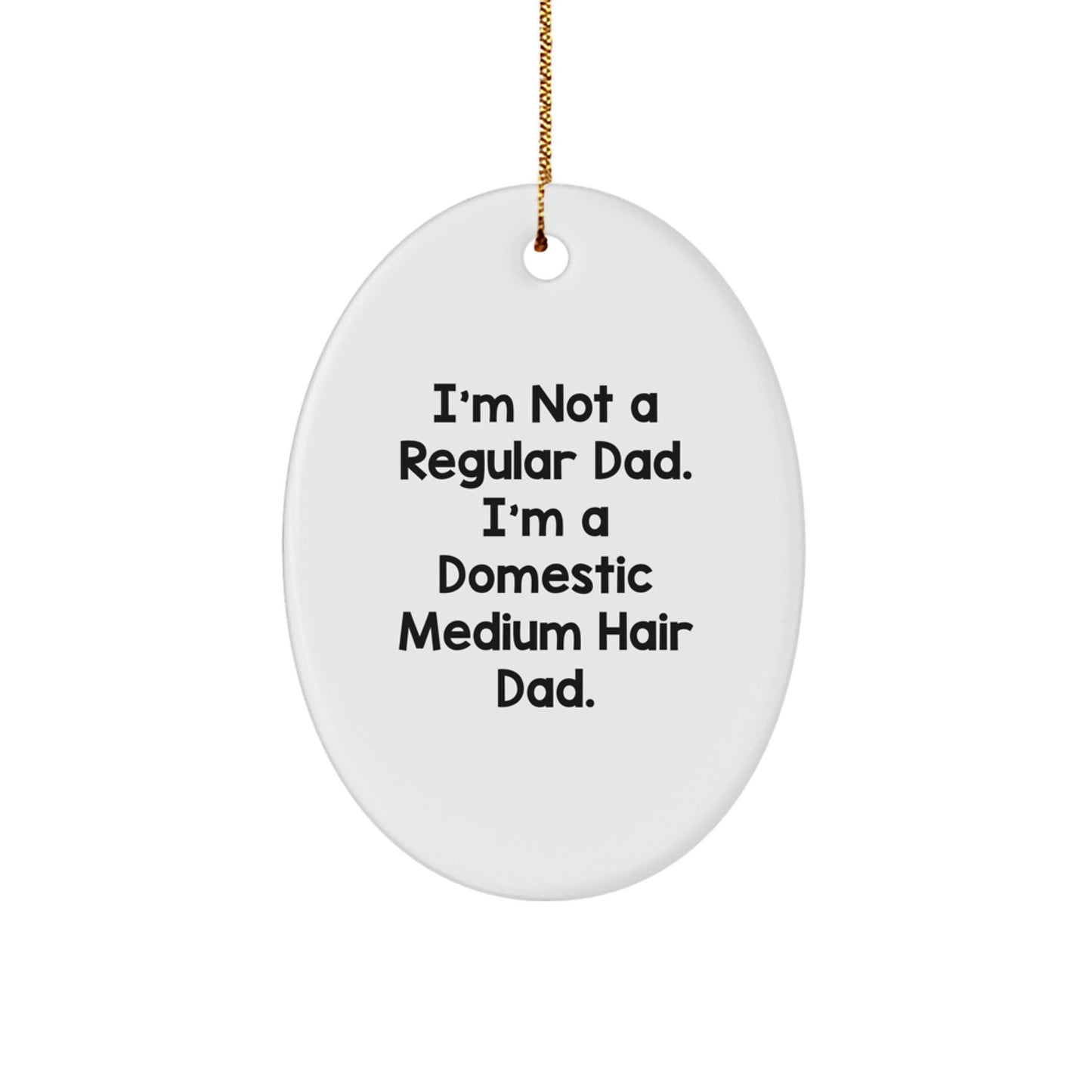 Domestic Medium Hair Cat Oval Ornament Not Regular Dad for Friends Gift - Image 1