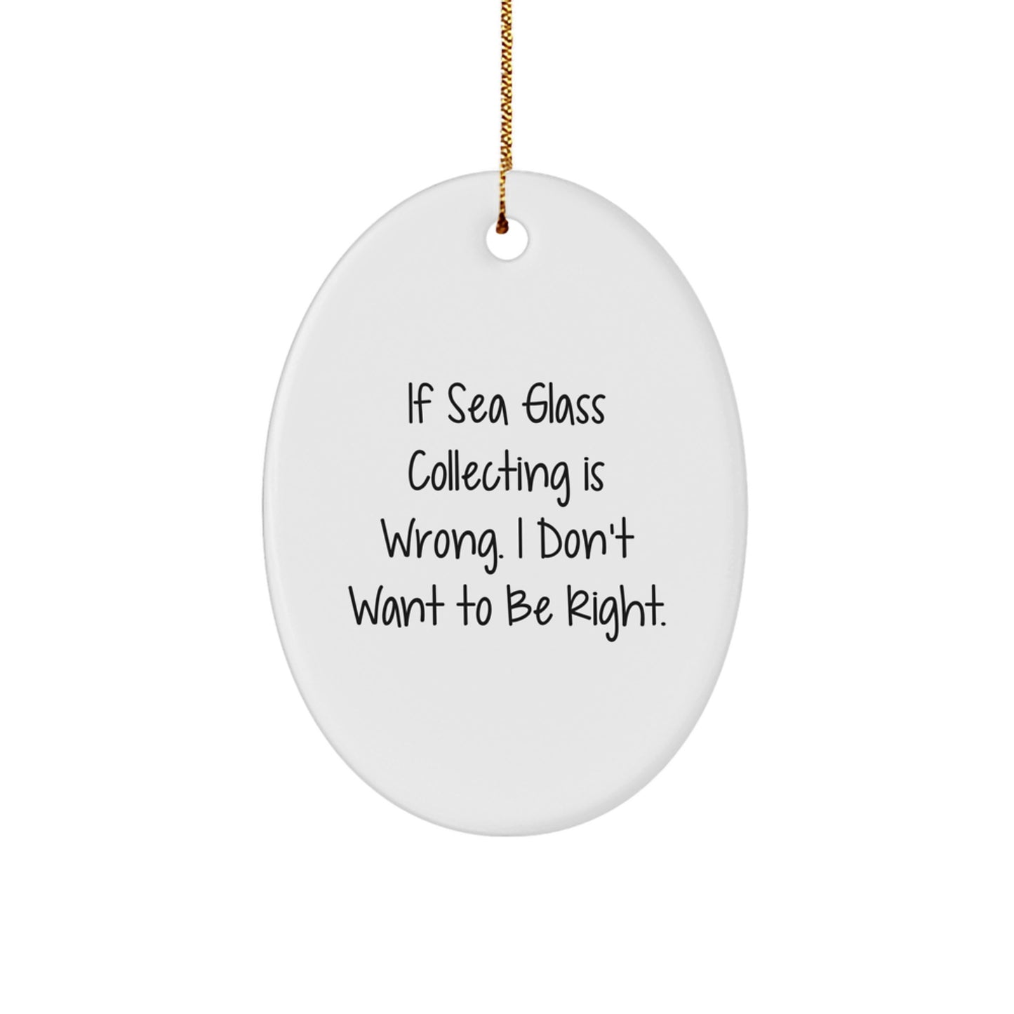 Funny Sea Glass Collecting Oval Ornament Gifts from Family for Christmas Unique Decoration - Image 1