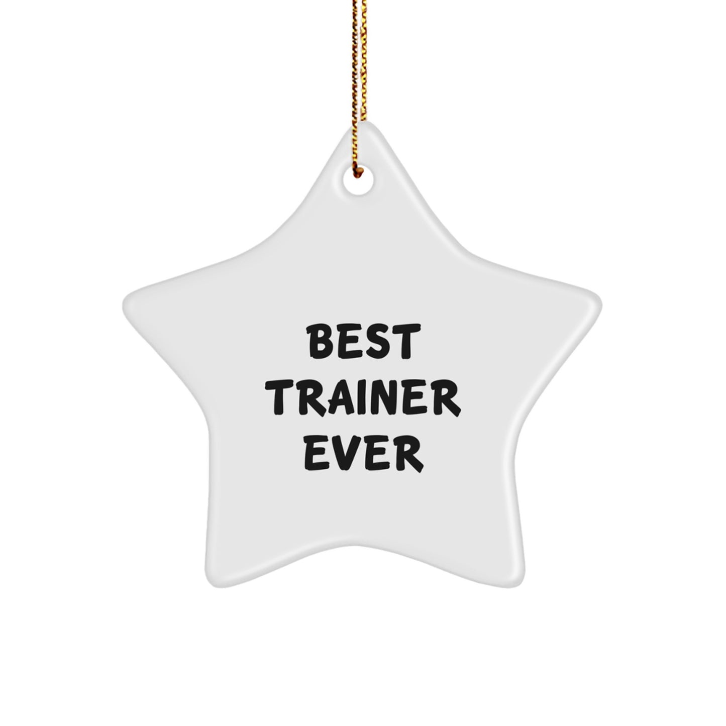 Funny Trainer Gifts from Friends for Best Trainer Ever Star Ornament Christmas Unique Decorations - Image 1