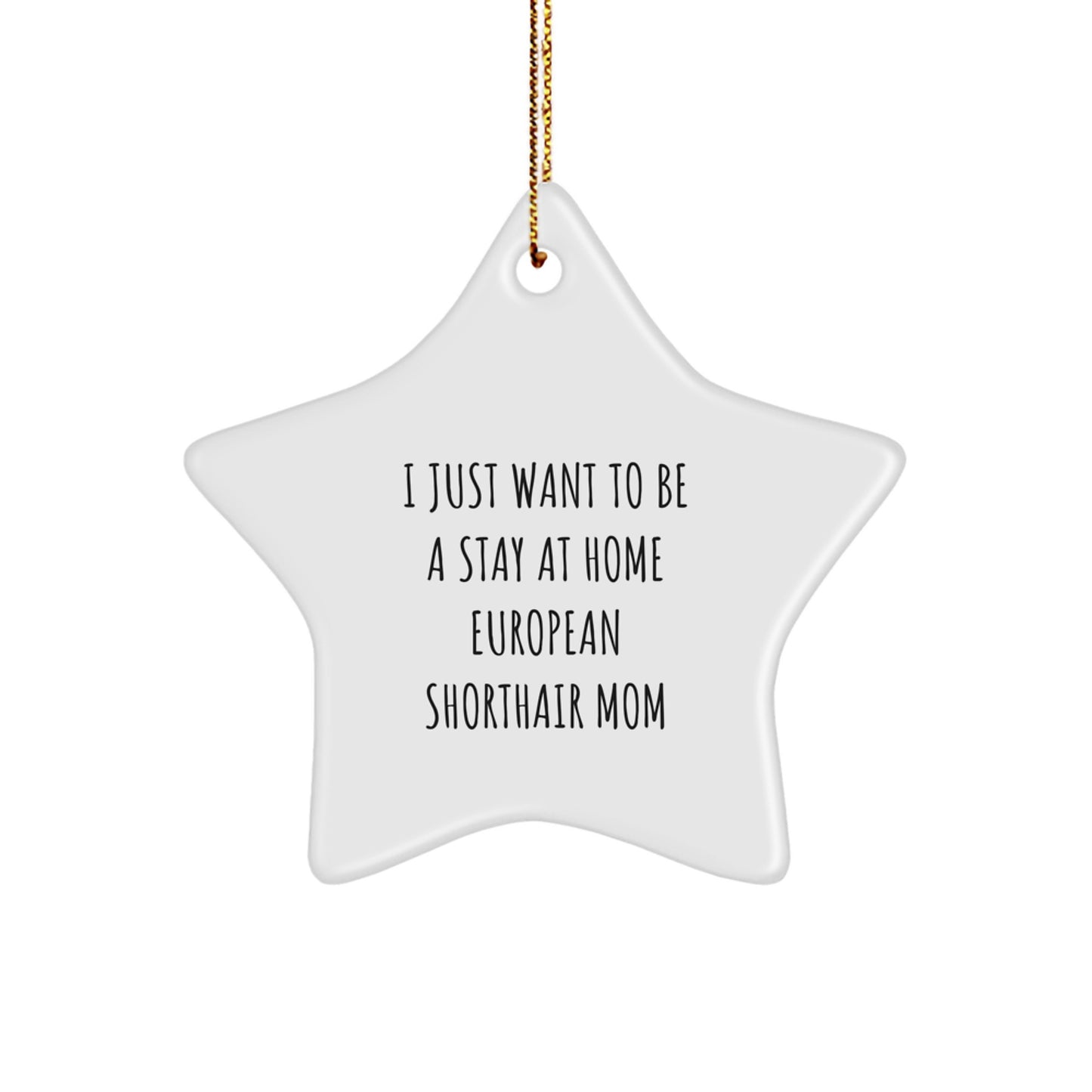 European Shorthair Cat Mom Star Ornament Gifts from Family for Christmas Unique Decorations - Image 1