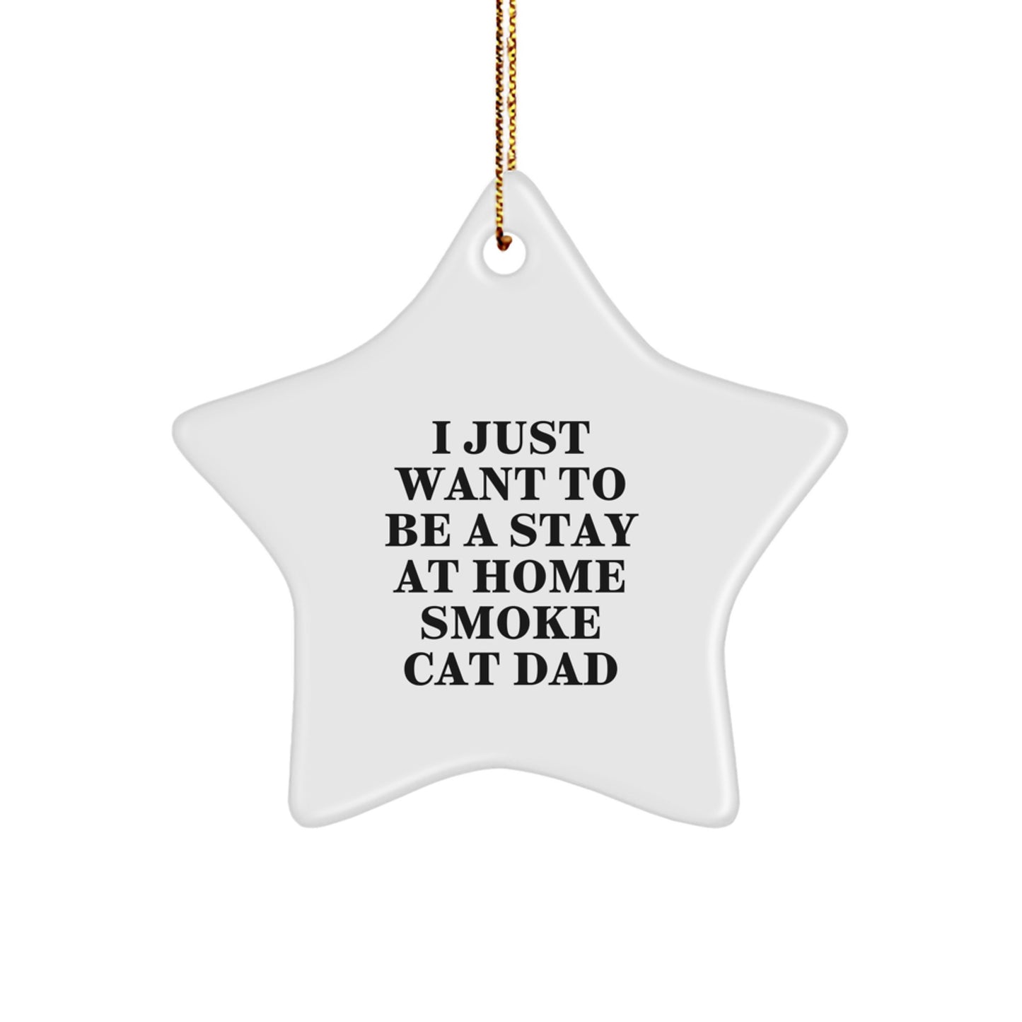 Funny Smoke Cat Gifts from Dad for Christmas Star Ornament, I Just Want To Be A Stay At Home Smoke Cat Dad - Image 1