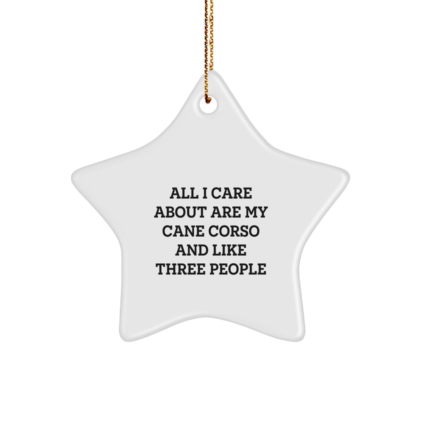 Cane Corso Dog Lover's Star Ornament Gift from Family, Friends or Coworkers - Funny Quote - Image 1